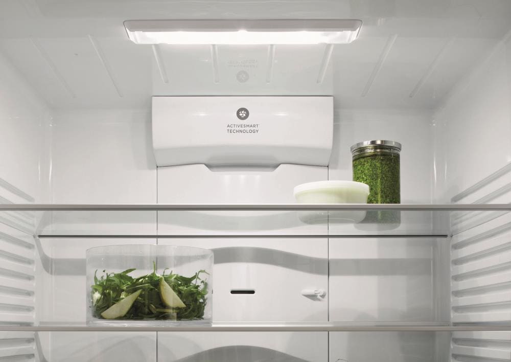 fisher and paykel rf170wdrux5