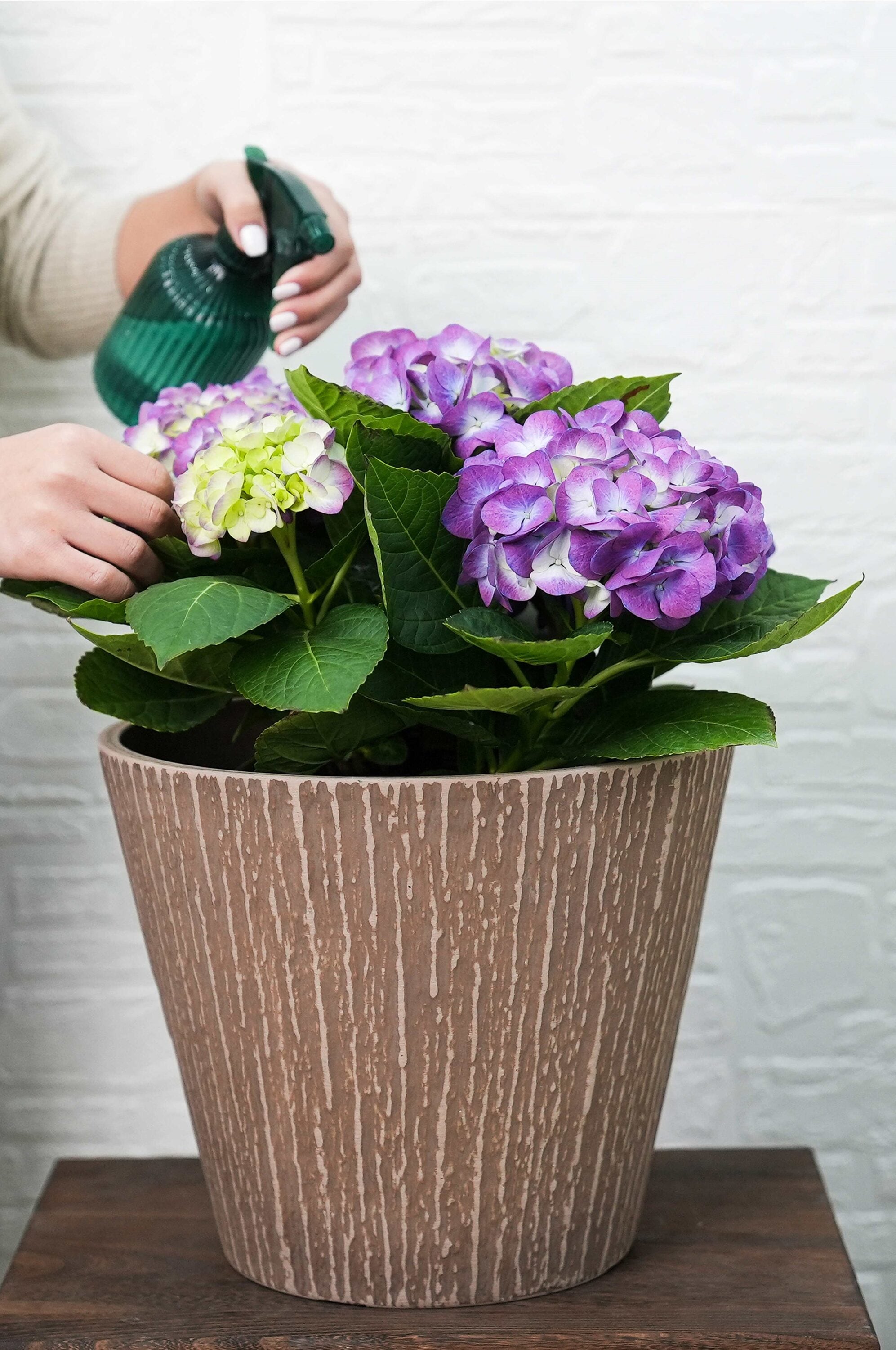 Greenship S-13B30-C-2 Planter-Window-Box - View #2