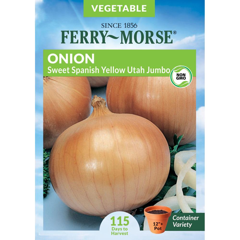 Onion Sweet Spanish Yellow Utah Jumbo Vegetable Edible Garden at Lowes.com