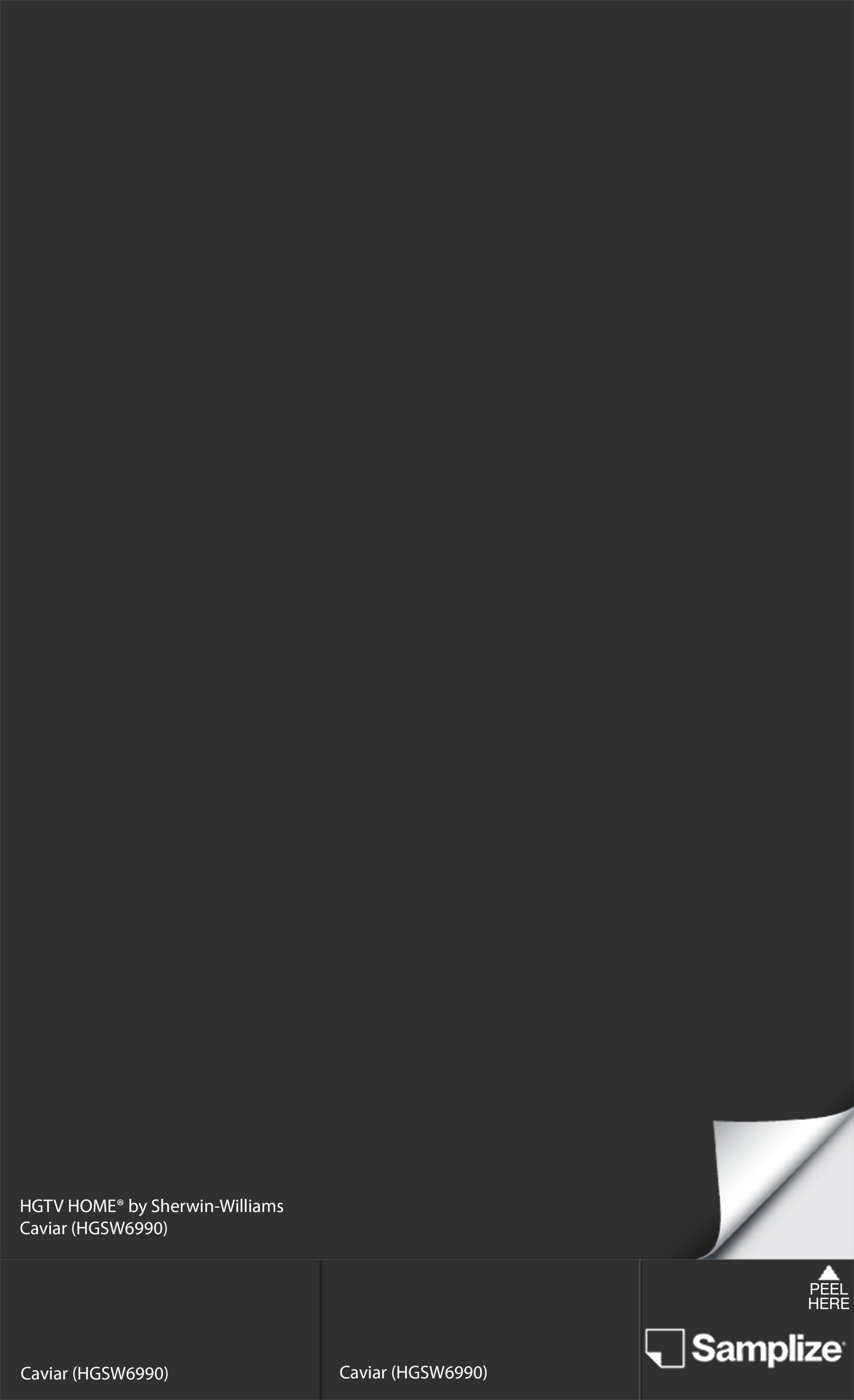 Samplize HGSW-(HGSW6990)-12 Caviar Hgsw6990 Peel and Stick Paint Sample (9-in x 14-3/4-in)