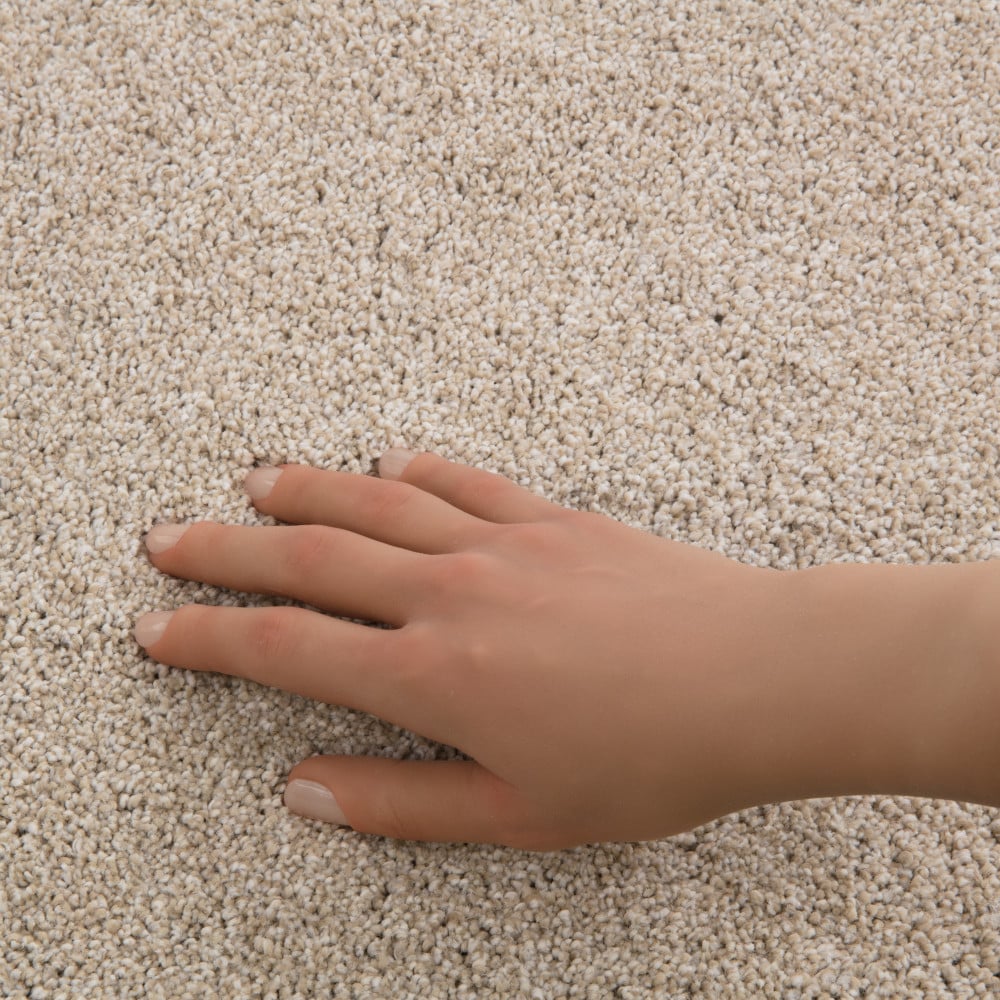 STAINMASTER PetProtect 7L94100152 Carpet-Panel - View #4