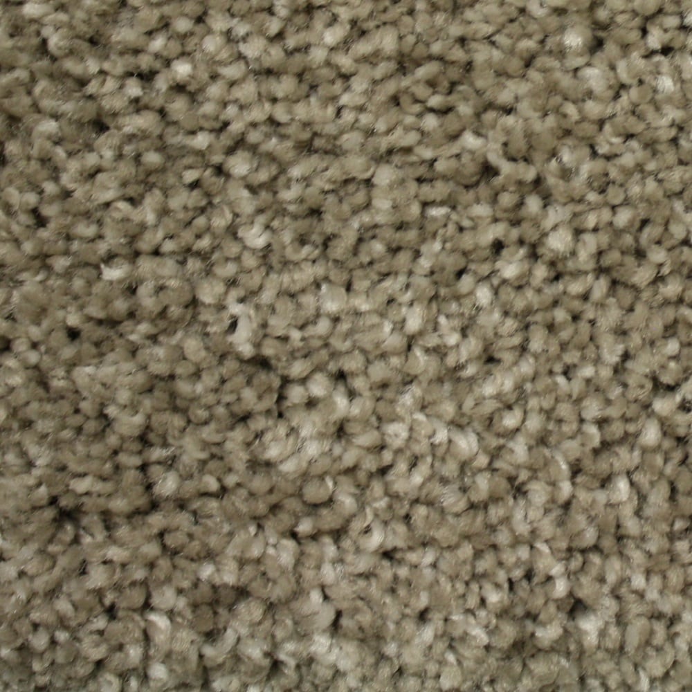 STAINMASTER FB049-301-1200-AB Dolomite Glossy Taupe Brown 49.0-oz sq yard Polyester Textured Indoor Carpet