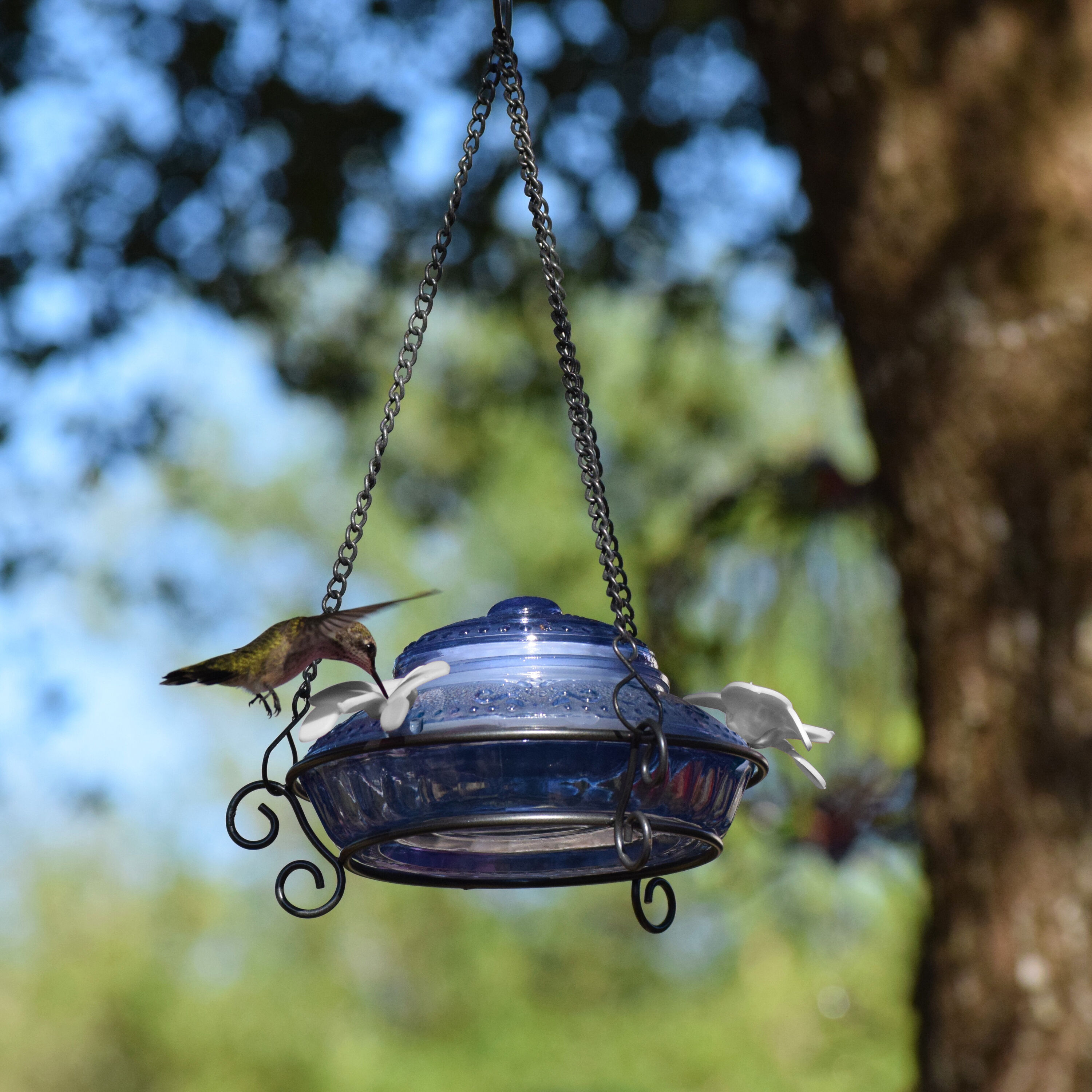 Style Selections ANTHF-SS1-I Bird-Feeders - View #2