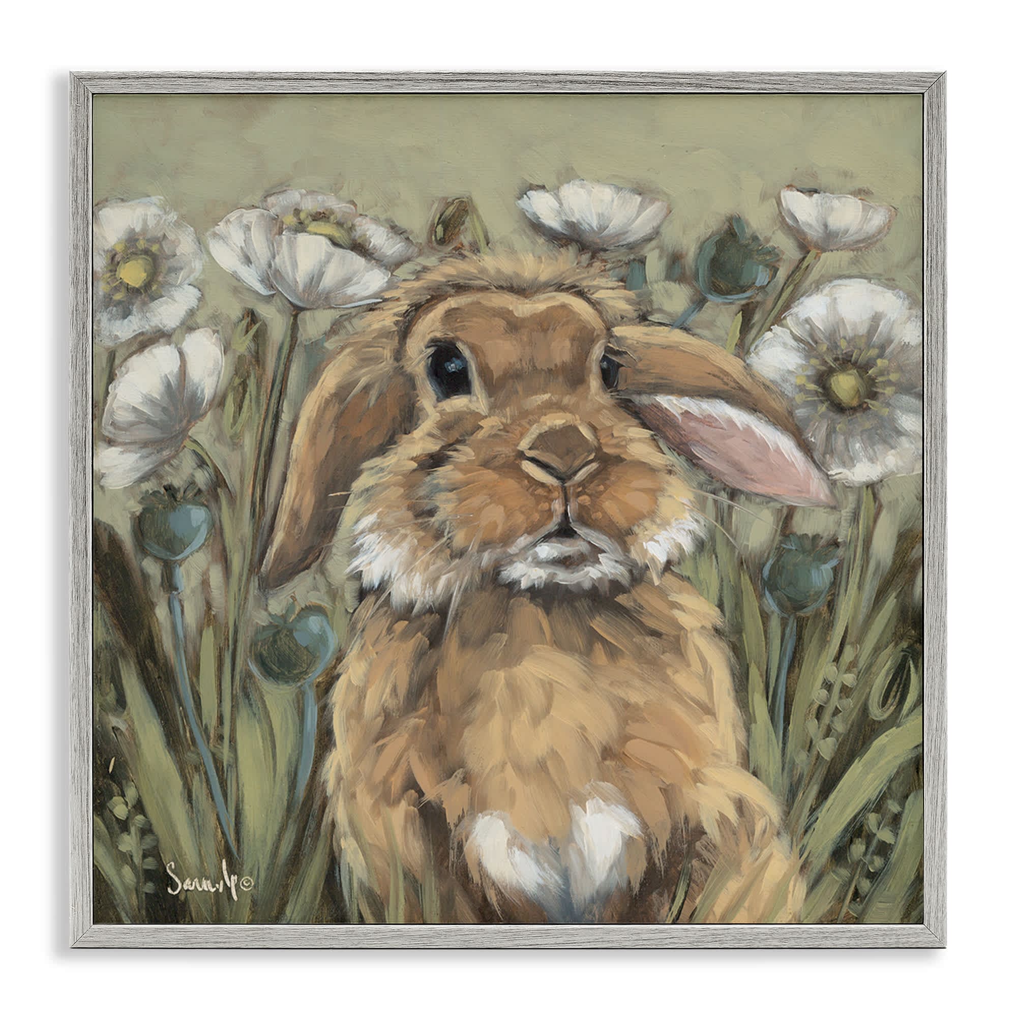 Stupell Industries BS-657-GFF-24X24 Rabbit in Poppy Garden Gray Framed Giclee Art By Sara G. Designs 24 x 24