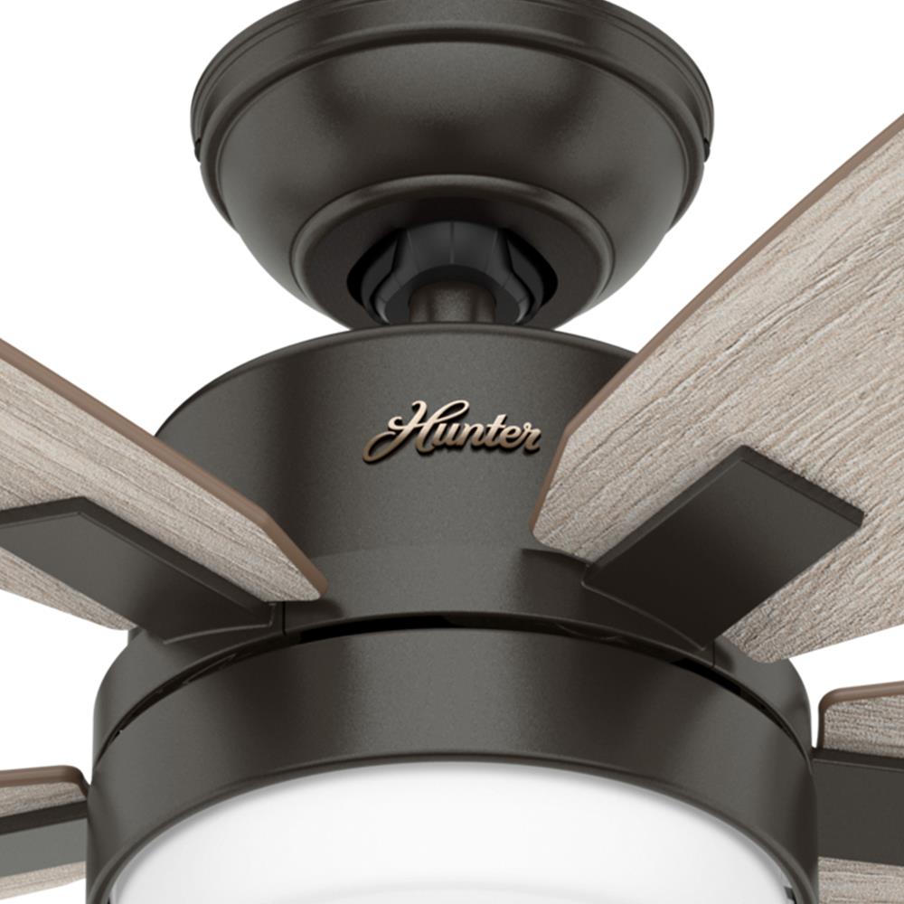 Hunter 59583 Ceiling-Fans - View #6