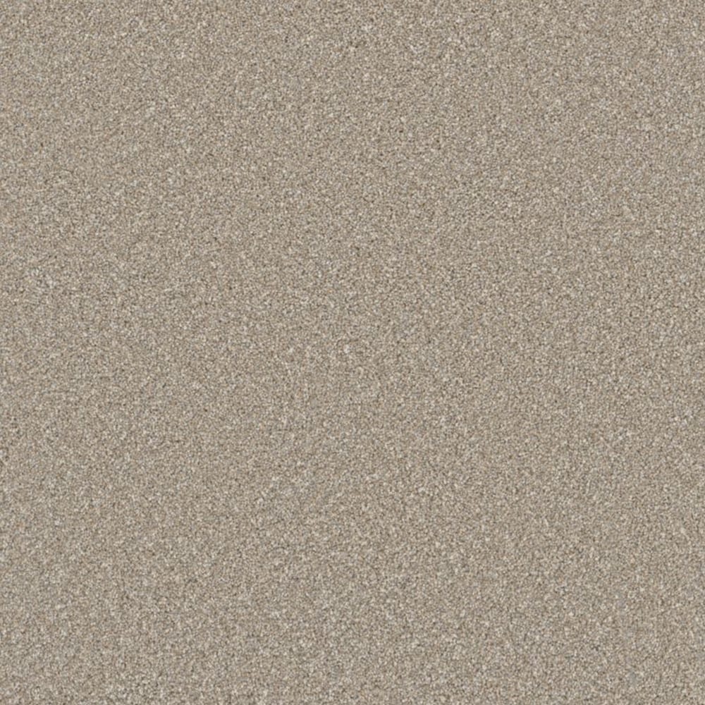 STAINMASTER S9275-718-S (Sample) Chenille Jersey Brown 75-oz sq yard Polyester Textured Indoor Carpet
