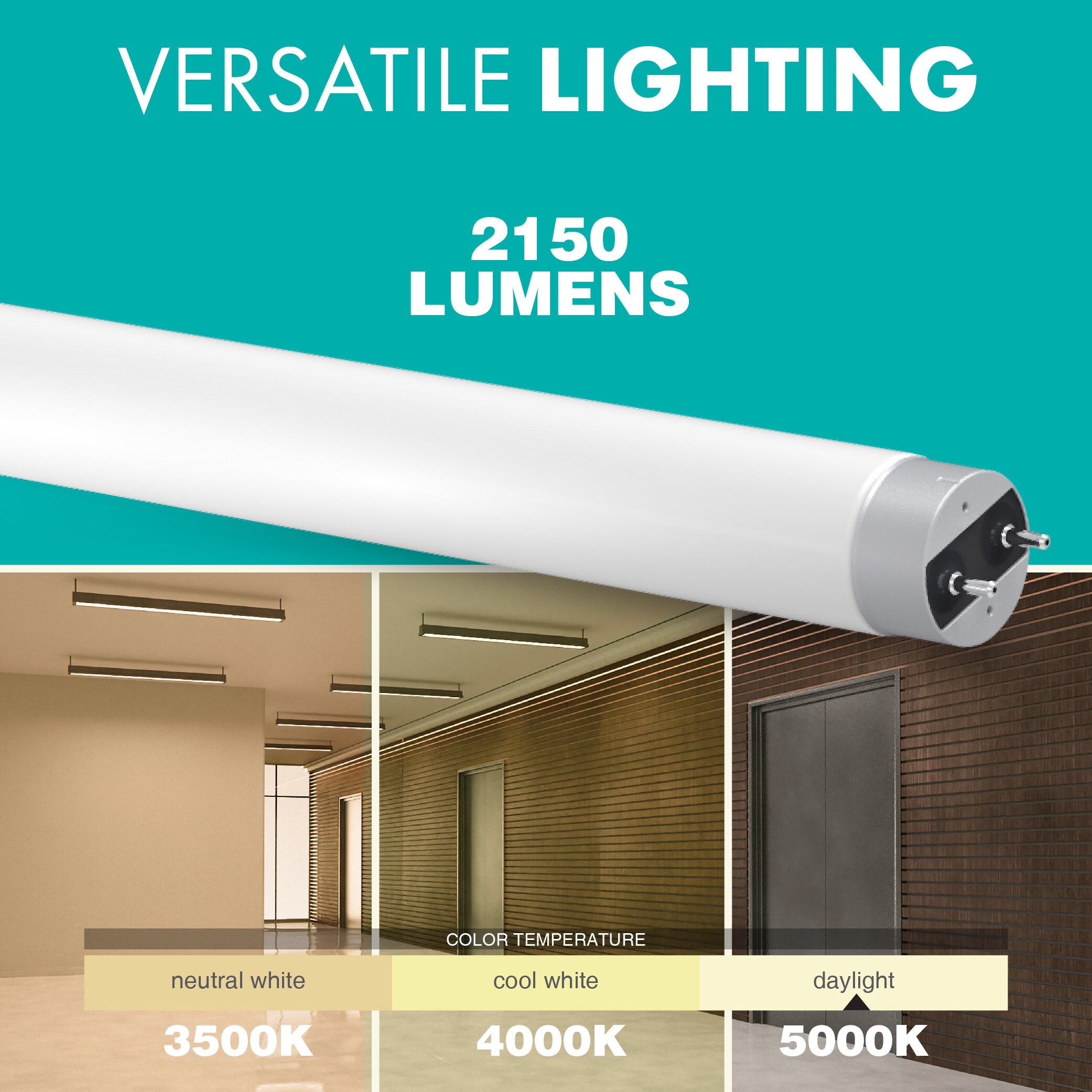 Simply Conserve L17T8G50BDE Led-Tube-Light-Bulbs - View #4