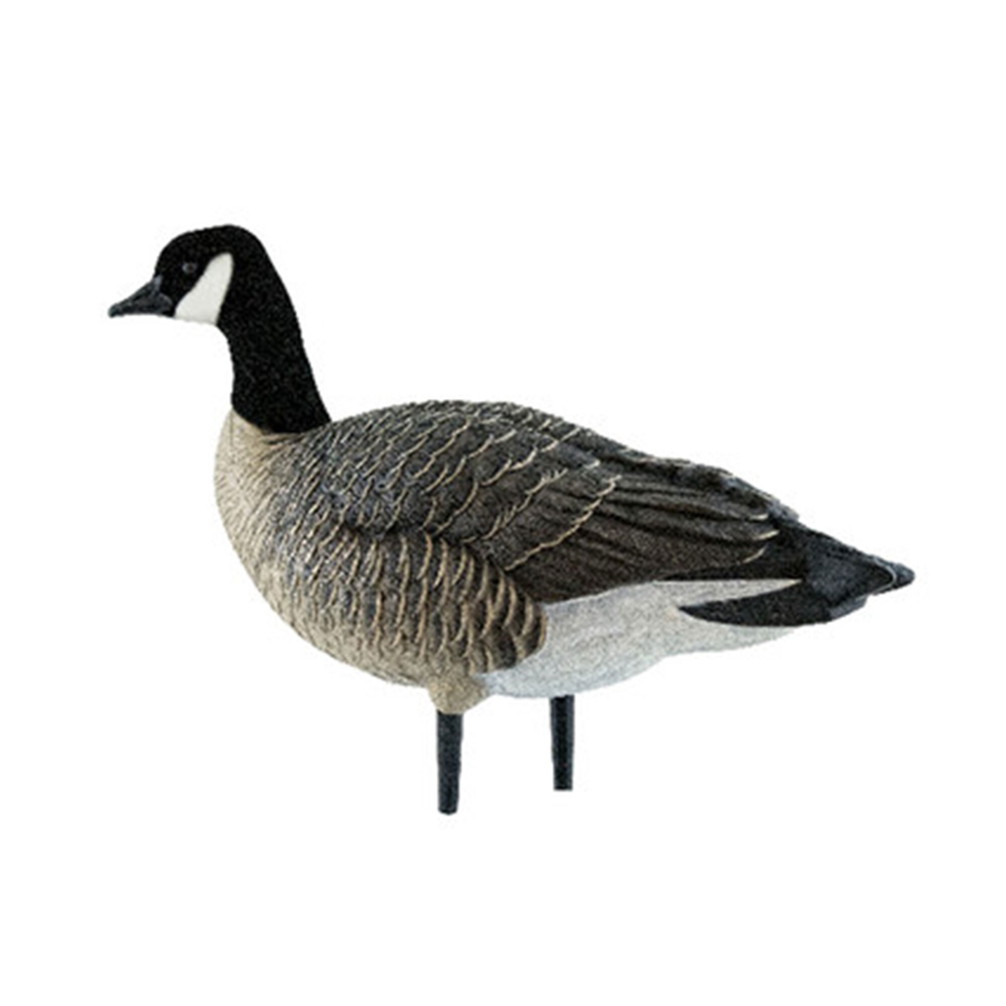  Avian X 399280 Hunting-Equipment - View #12