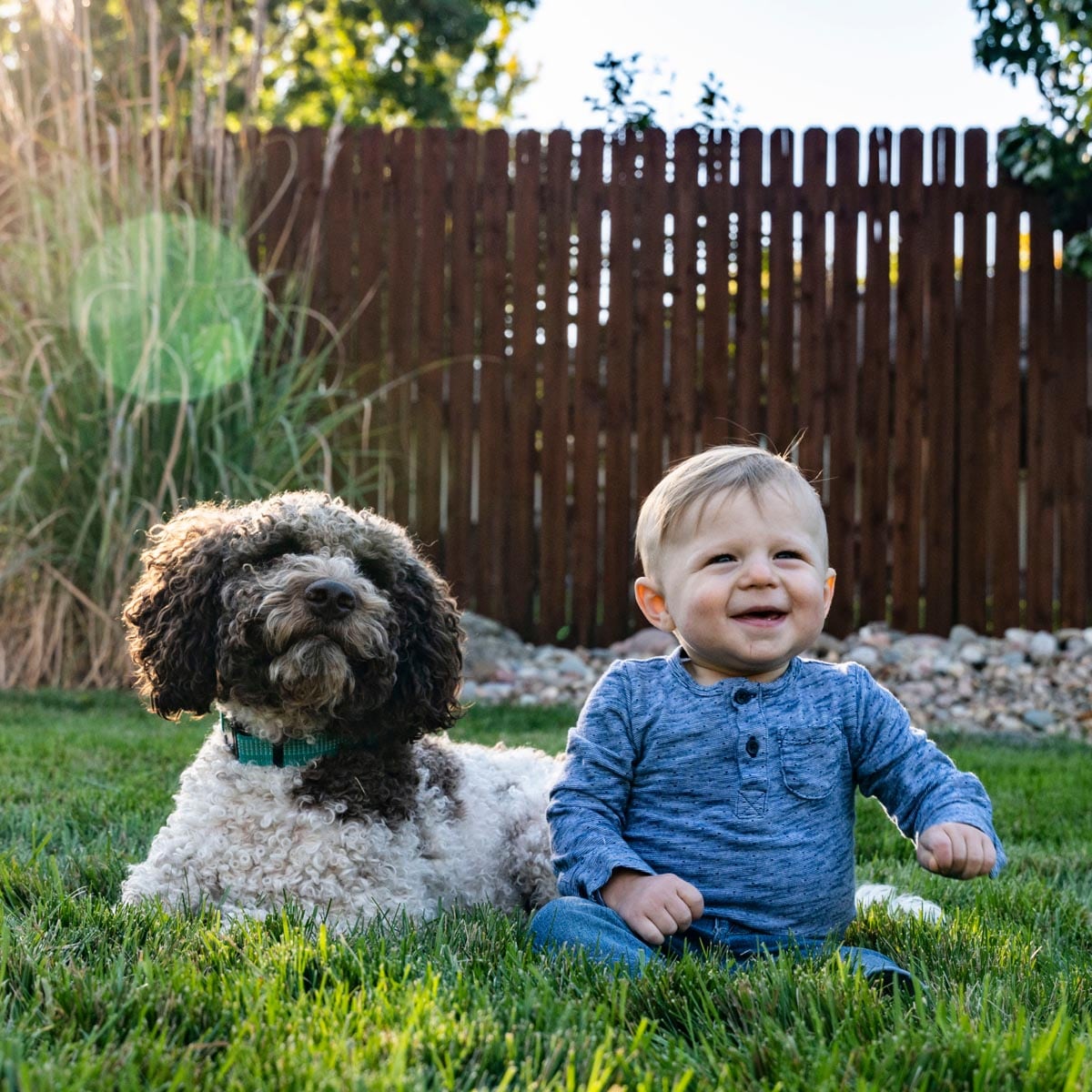 Sunday FB4159 Grass-Seed - View #7