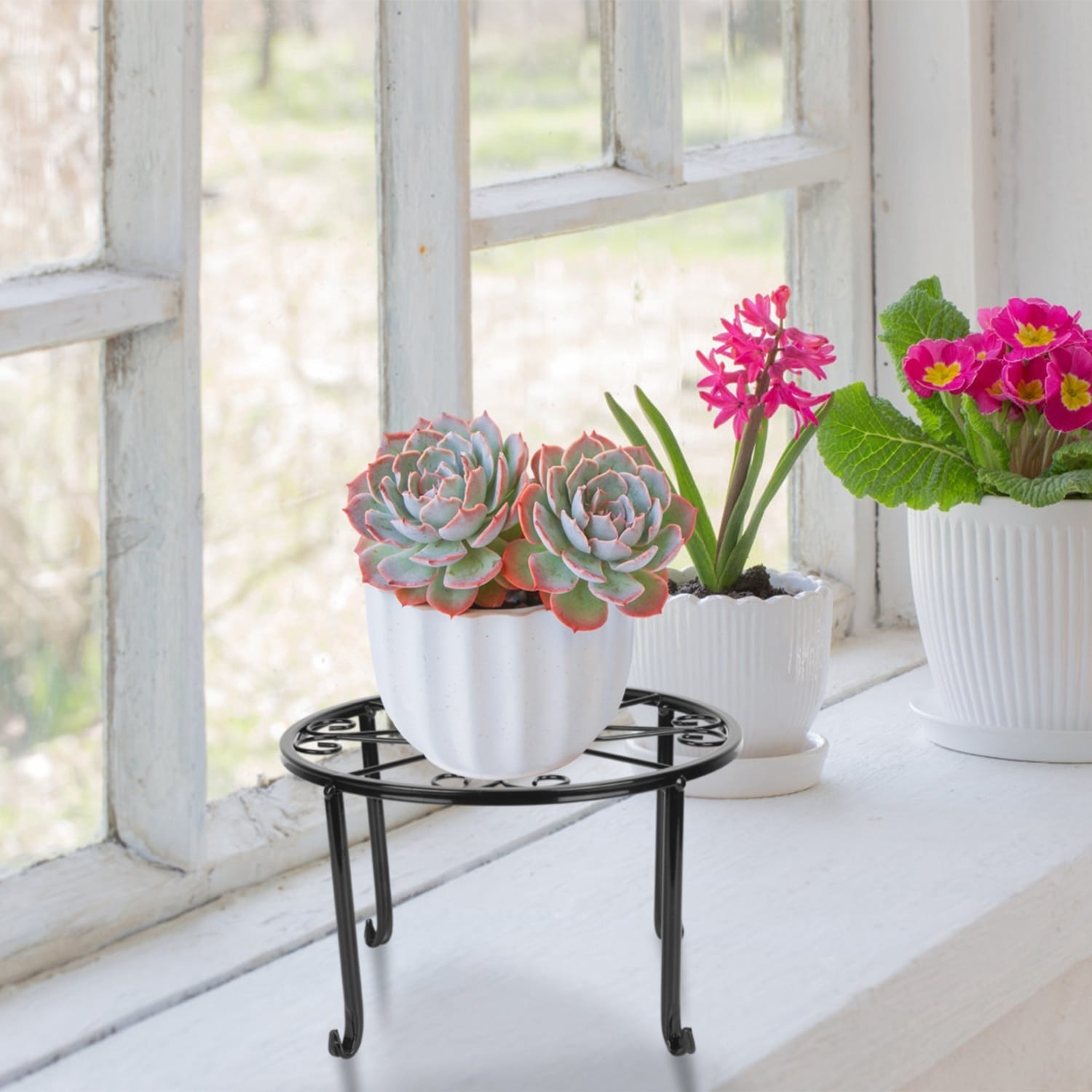 AHIOU HOME ZAAHD-H265NUPS Plant-Stand - View #6
