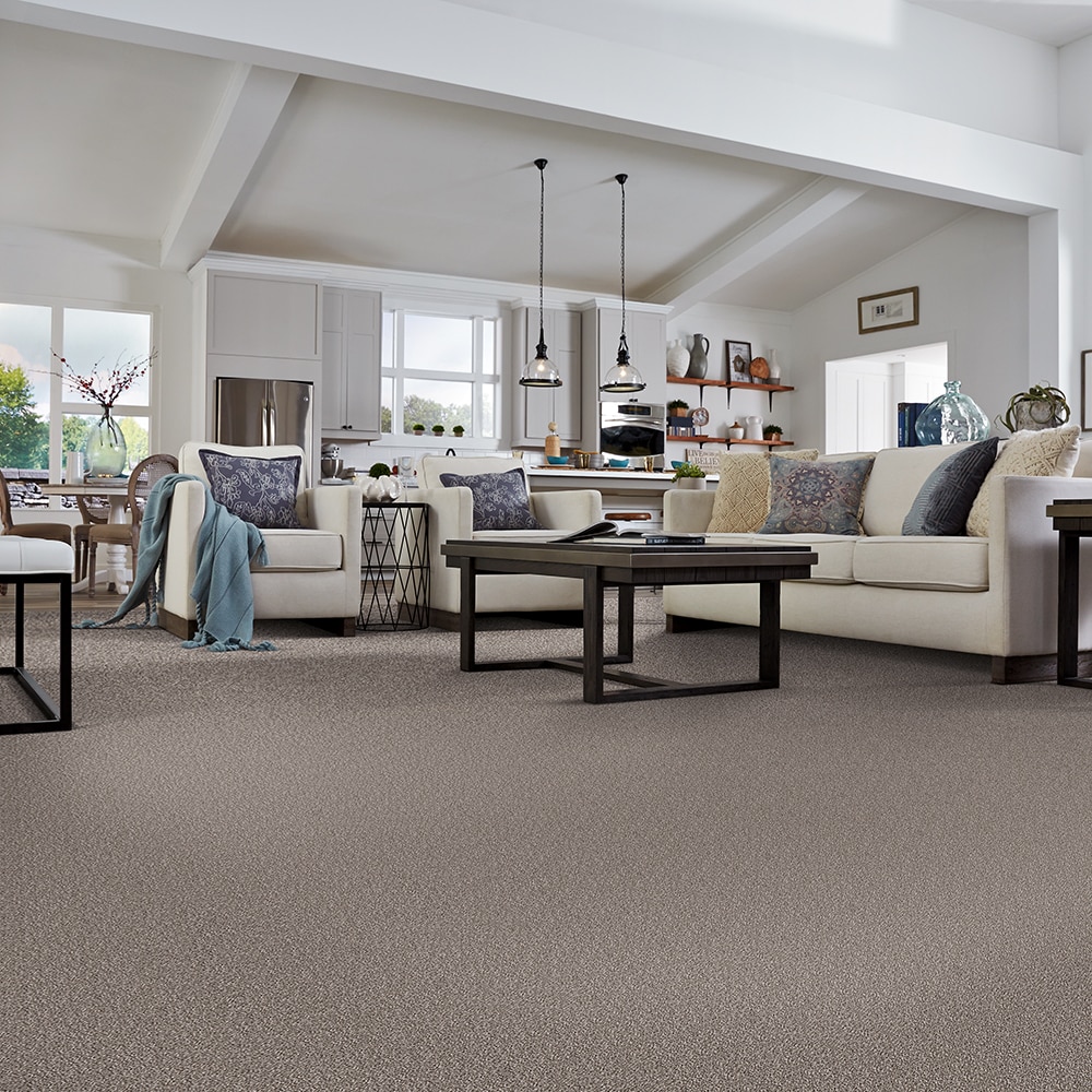 STAINMASTER S9043-738-S Carpet-Samples - View #6