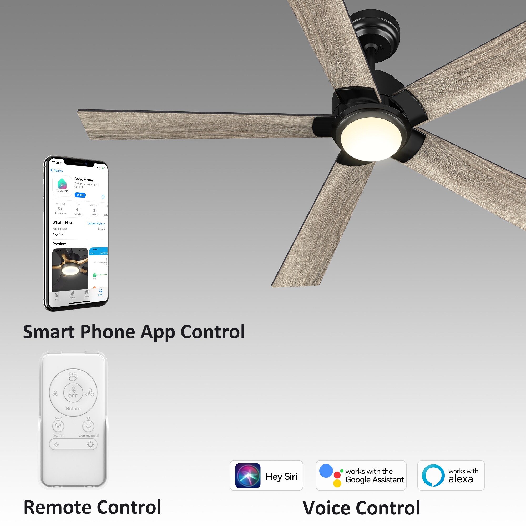 CARRO USA LS565J1-L11-BO-1 Ceiling-Fans - View #3