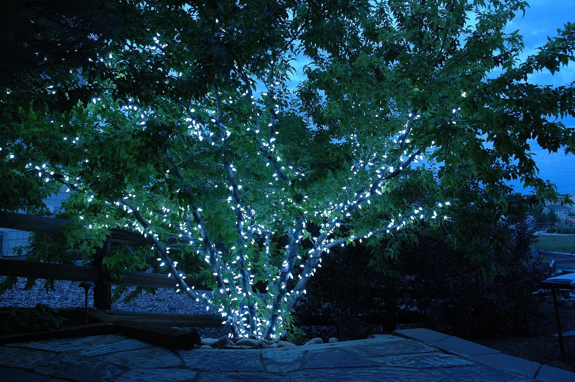 Novelty Lights CGC670-STWI-GR-PW Patio-String-Lights - View #4
