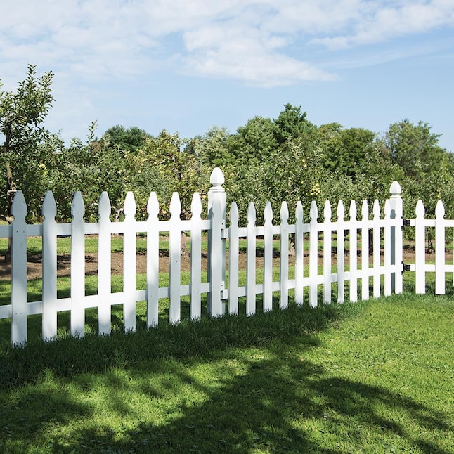 Severe Weather 3-ft H x 8-ft W White Stained Spruce Pine Fir French Gothic Wood Fence Panel Severe Weather 3-ft H x 8-ft W White Stained Spruce Pine Fir French Gothic Wood Fence Panel