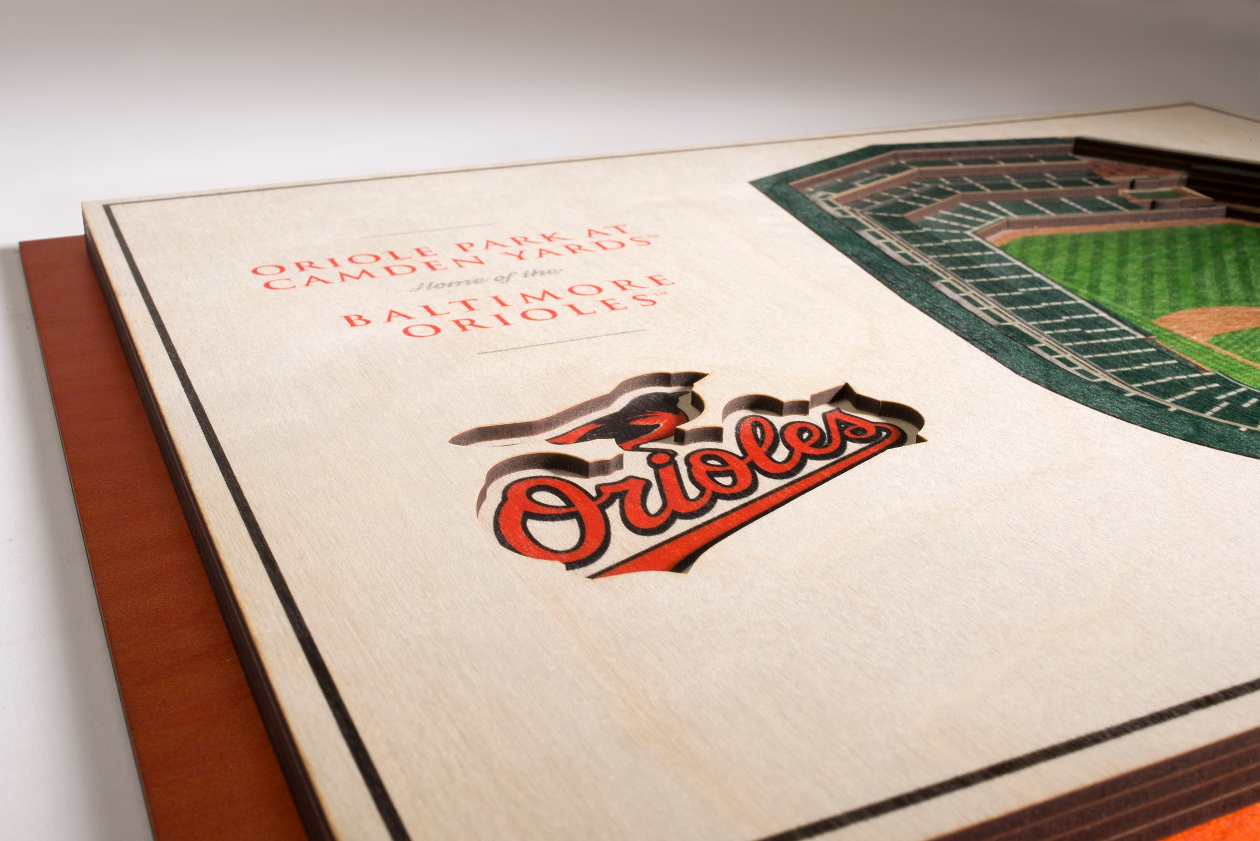 StadiumViews Baltimore Orioles Youthefan Brown Floater Frame 19.5