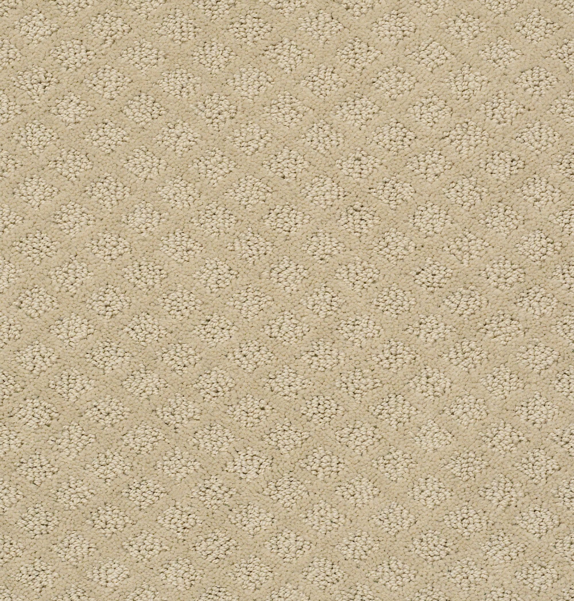 STAINMASTER 7L904 - 184 - SAMP (Sample) Belmont Blvd Boutique Brown 25-oz sq yard Nylon Pattern Indoor Carpet
