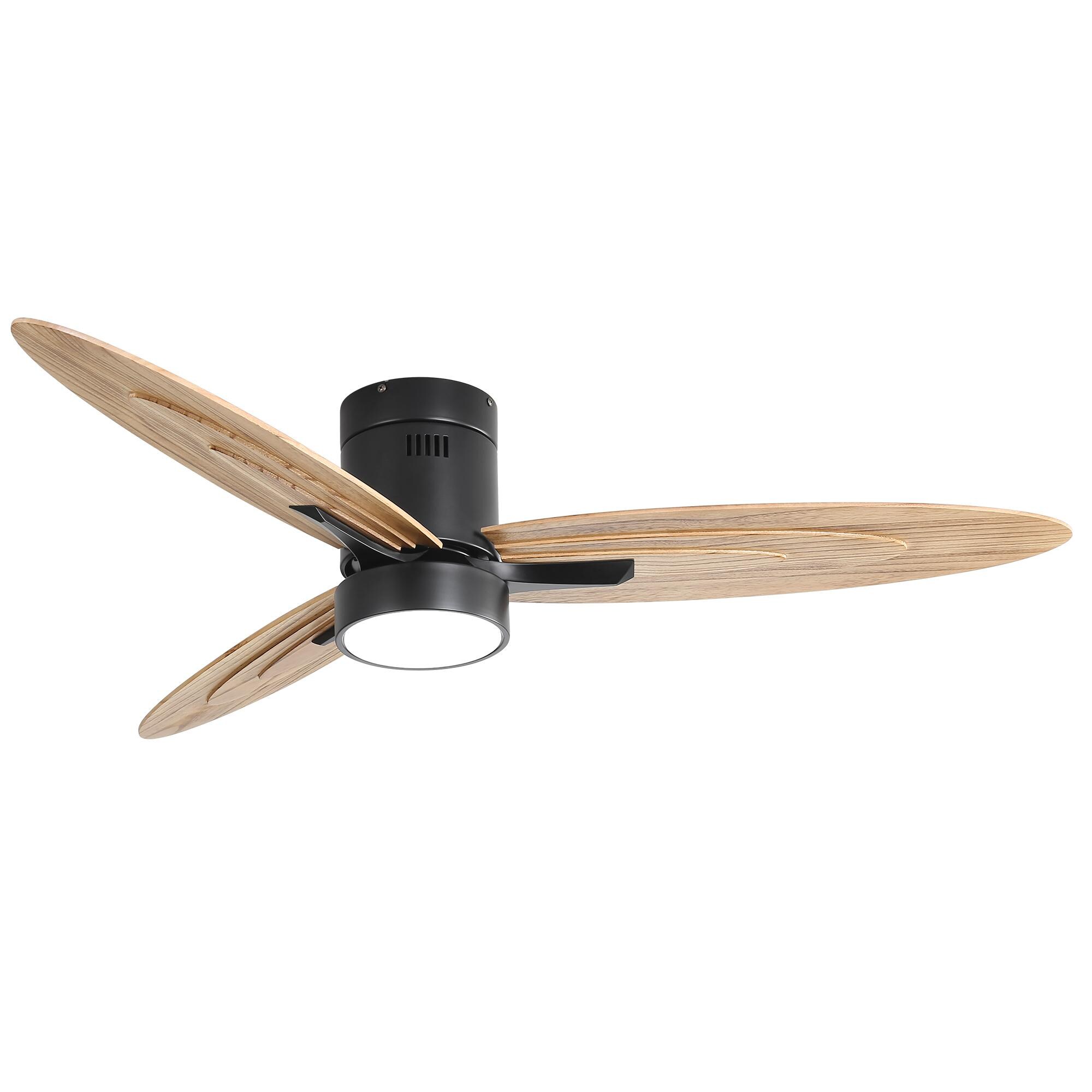 Bayfeve BFKS-11146-CF Ceiling-Fans - View #9