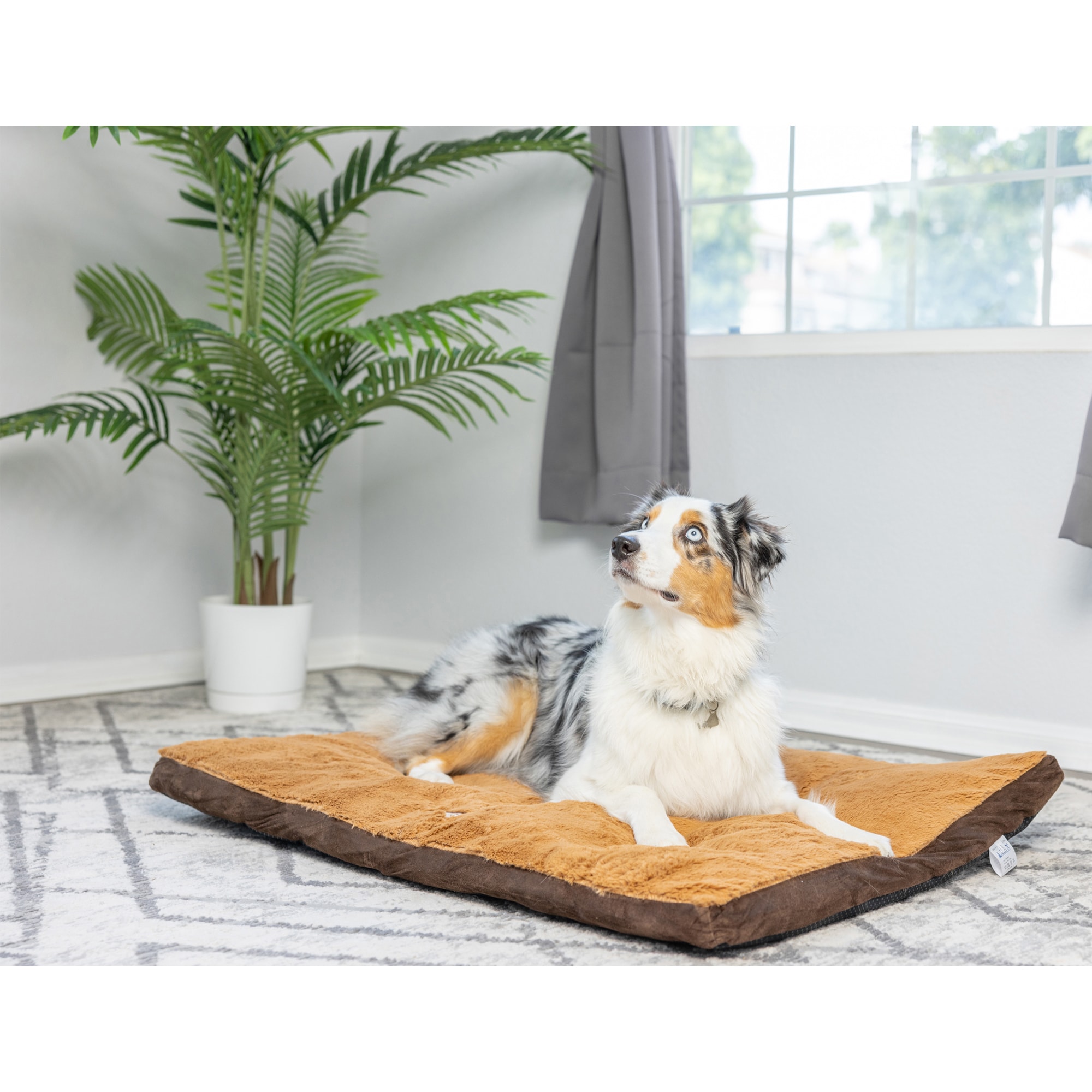 Armarkat M05HKF/ZS-L Pet-Beds - View #7