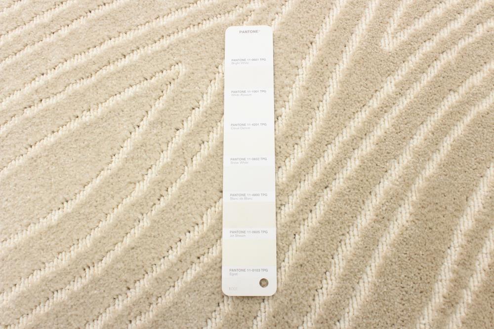 ECARPETGALLERY 351030 rugs - View #8