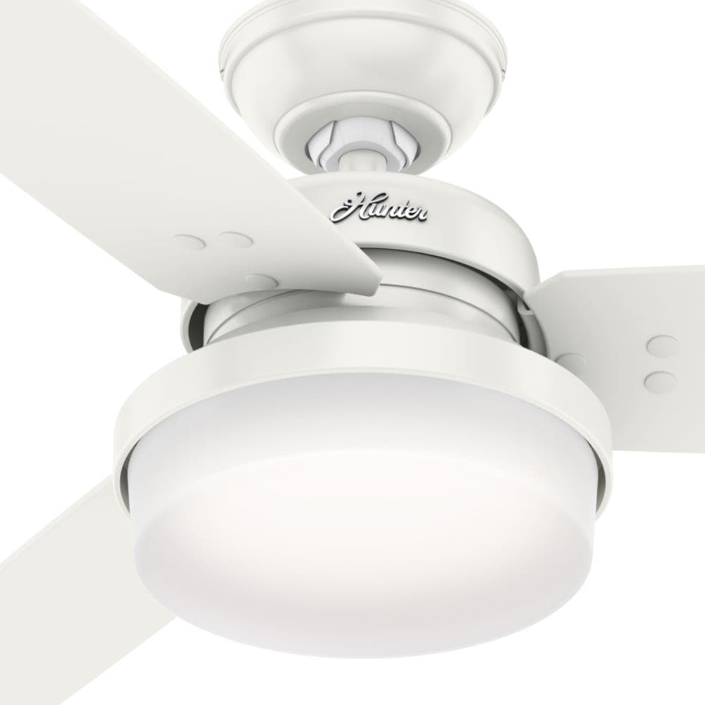 Hunter 59456 Ceiling-Fans - View #5