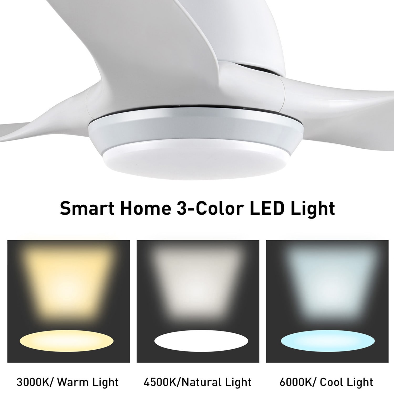 WALSPORT TCLLF0002 Ceiling-Fans - View #3