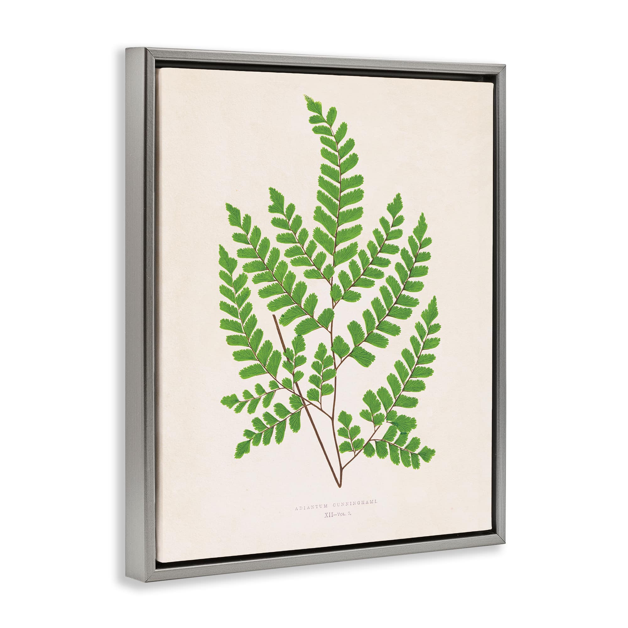 Stupell Industries BT-466-FFL-24X30 Wall-Art - View #2