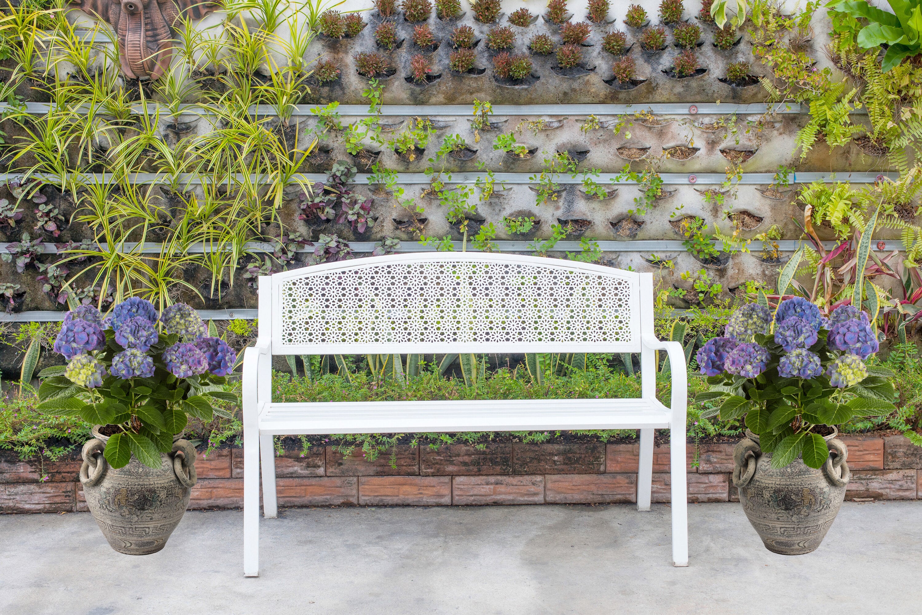  3065 shrubs - View #5