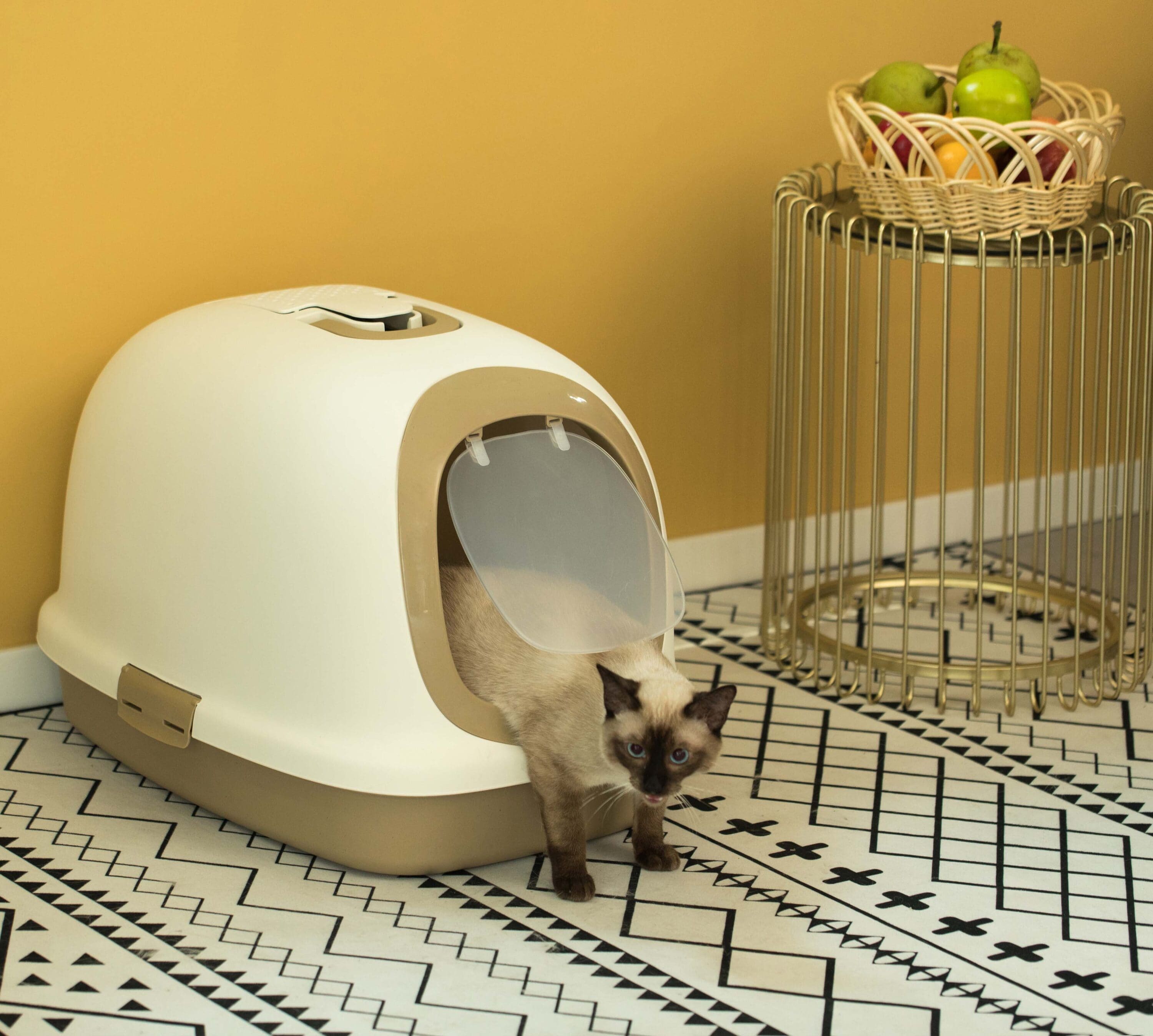 PawsMark QI003774.BN Pet-Beds - View #9
