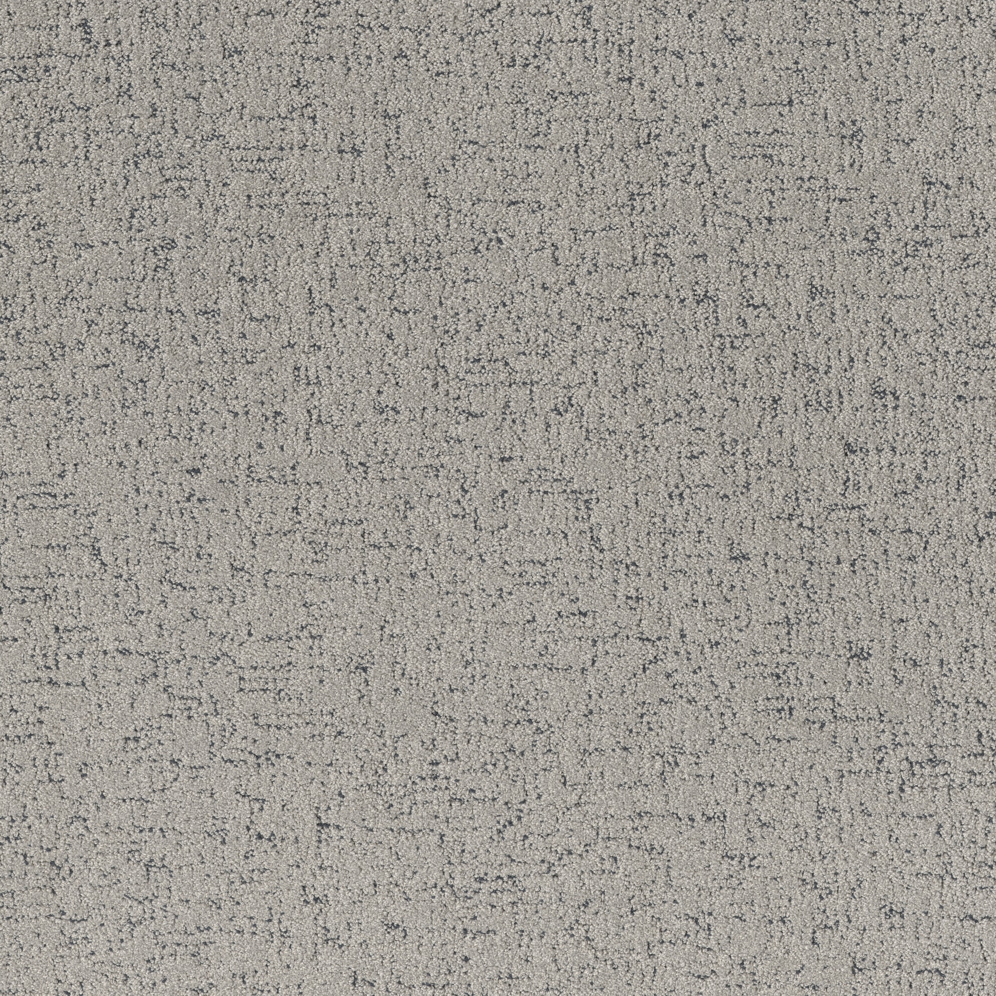 STAINMASTER 7L87600503 Positive Attitude Flannel Gray 43.9-oz sq yard Polyester Pattern Indoor Carpet