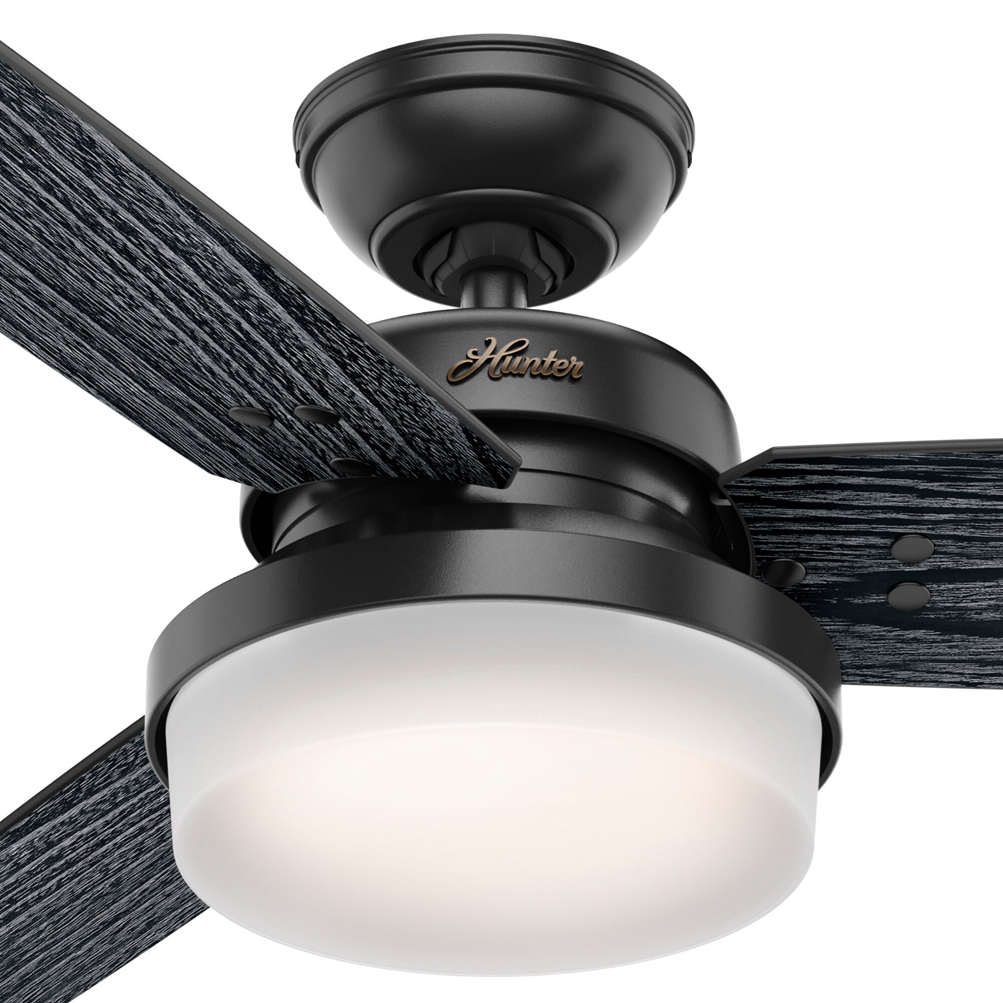 Hunter 50285 Ceiling-Fans - View #10