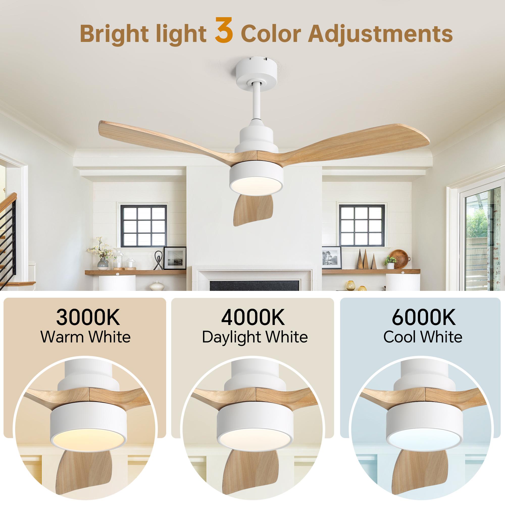 Bayfeve BF-568259-MP Ceiling-Fans - View #4