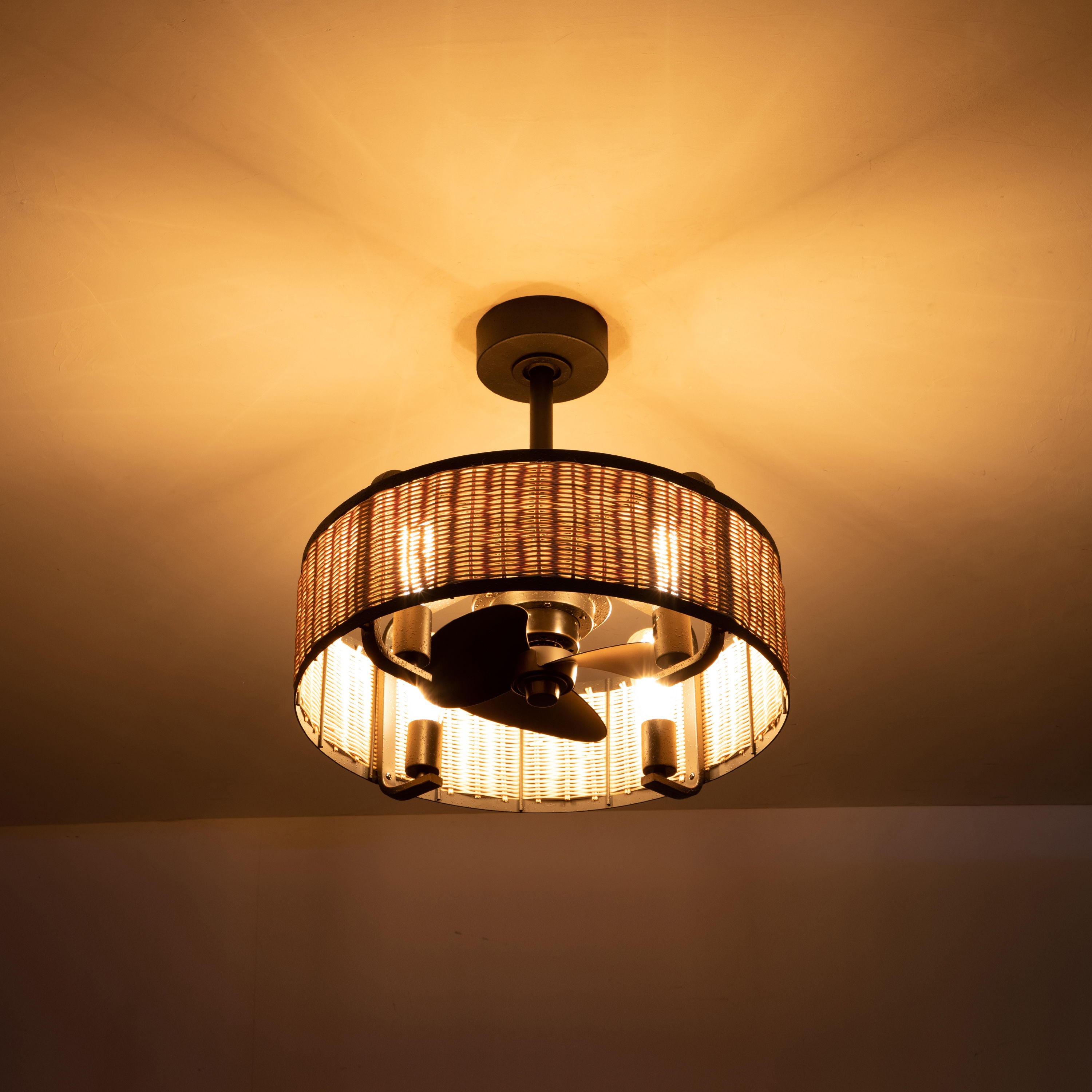 C Cattleya CA2236-CF Ceiling-Fans - View #3