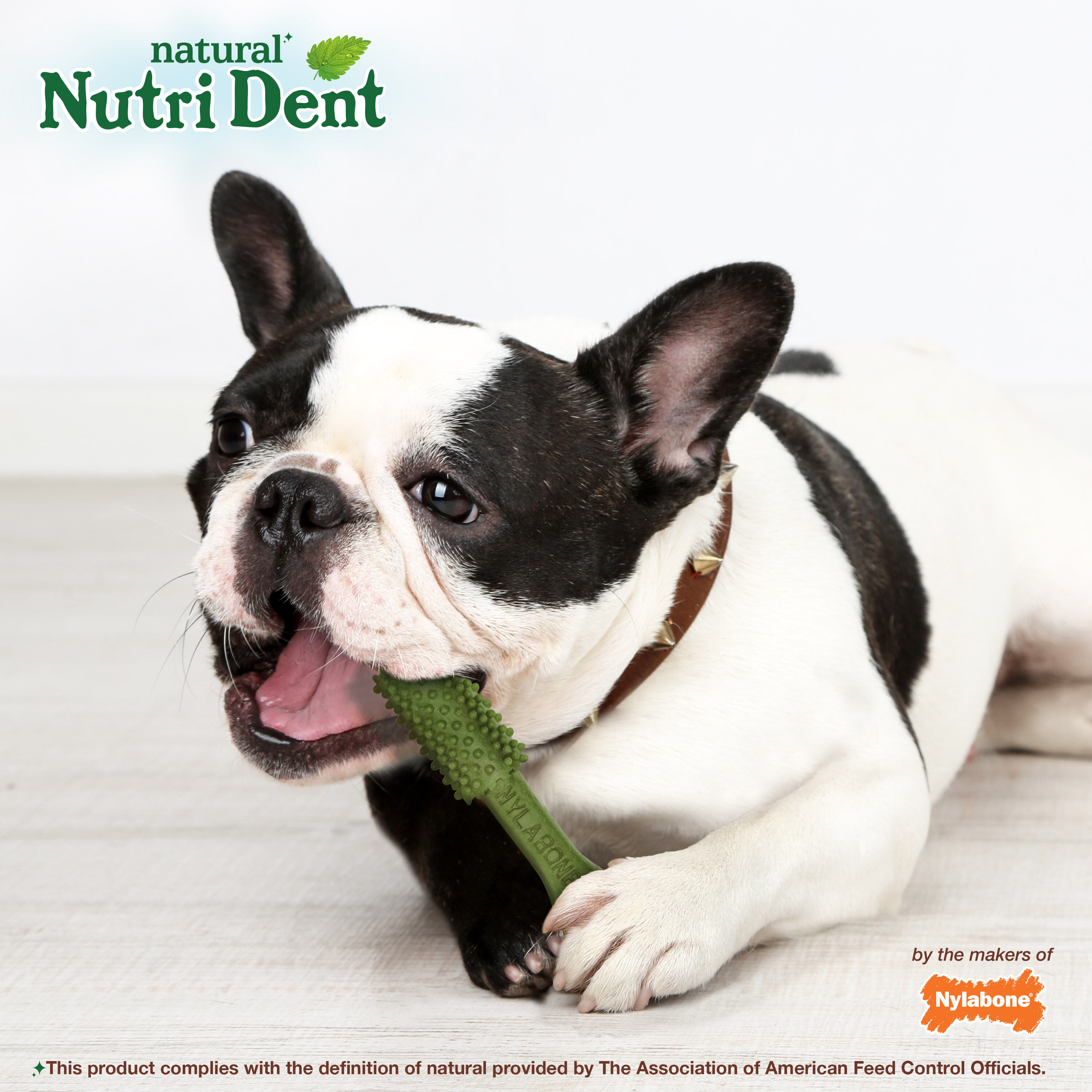 Nylabone 1821481444 Dog-Treats - View #7