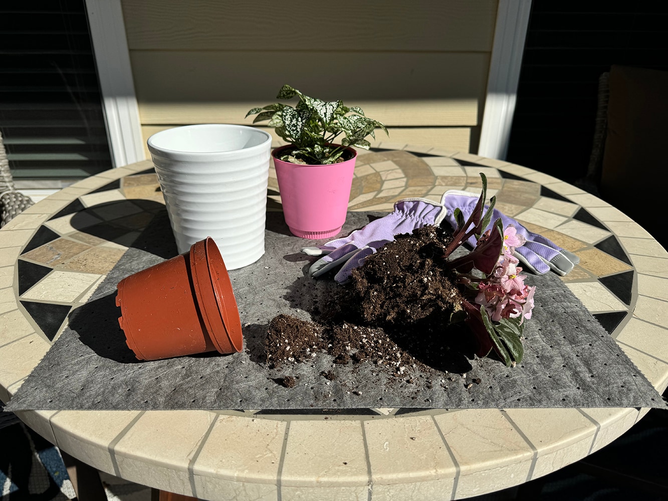  DZ-M-010 Spill-Absorbant - View #4