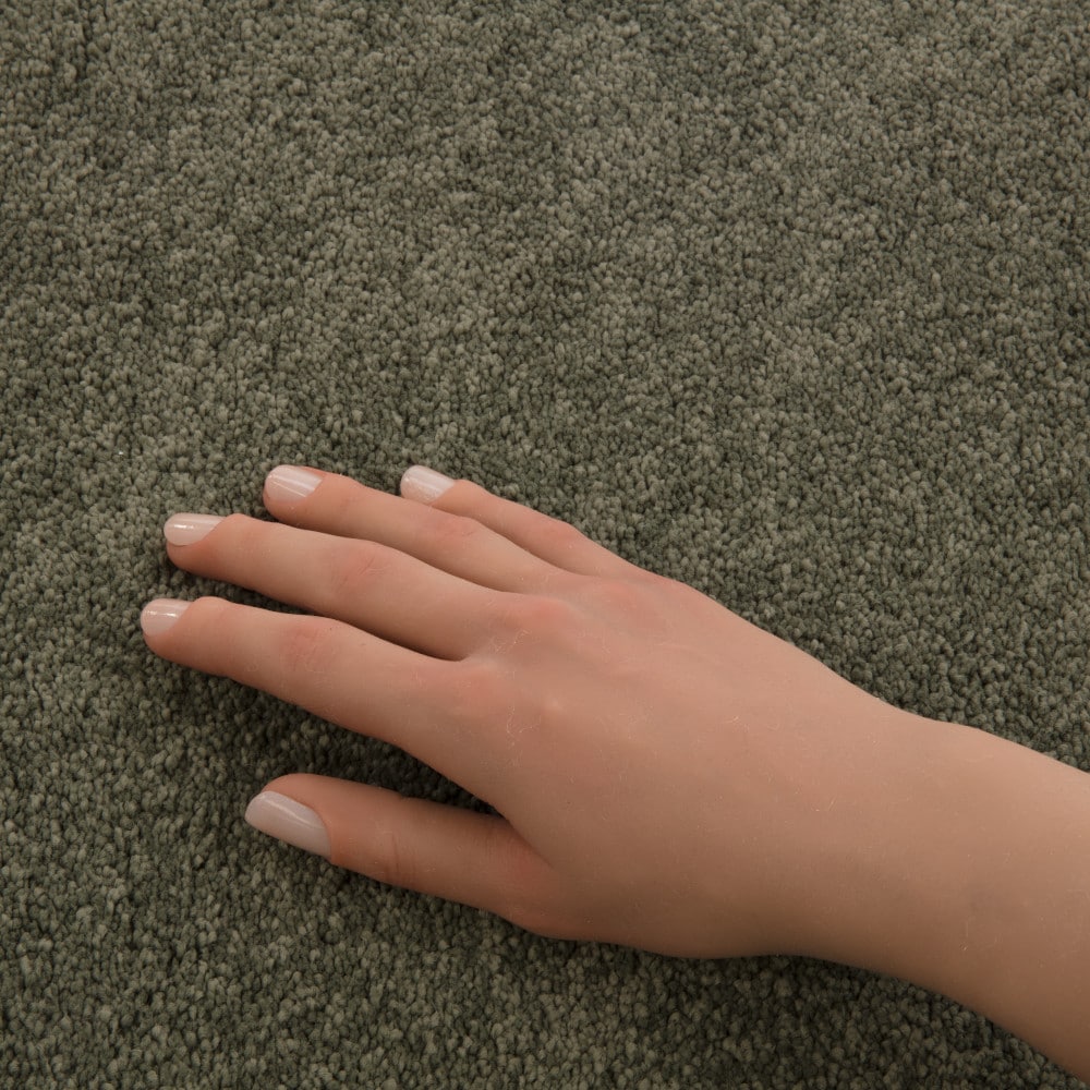 STAINMASTER PetProtect 7L972-300-SAMP Carpet-Samples - View #4