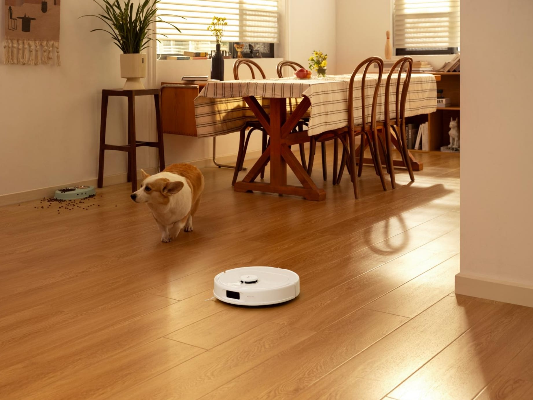 Roborock ROBOROCK QREVO PRO Robotic-Vacuums - View #10