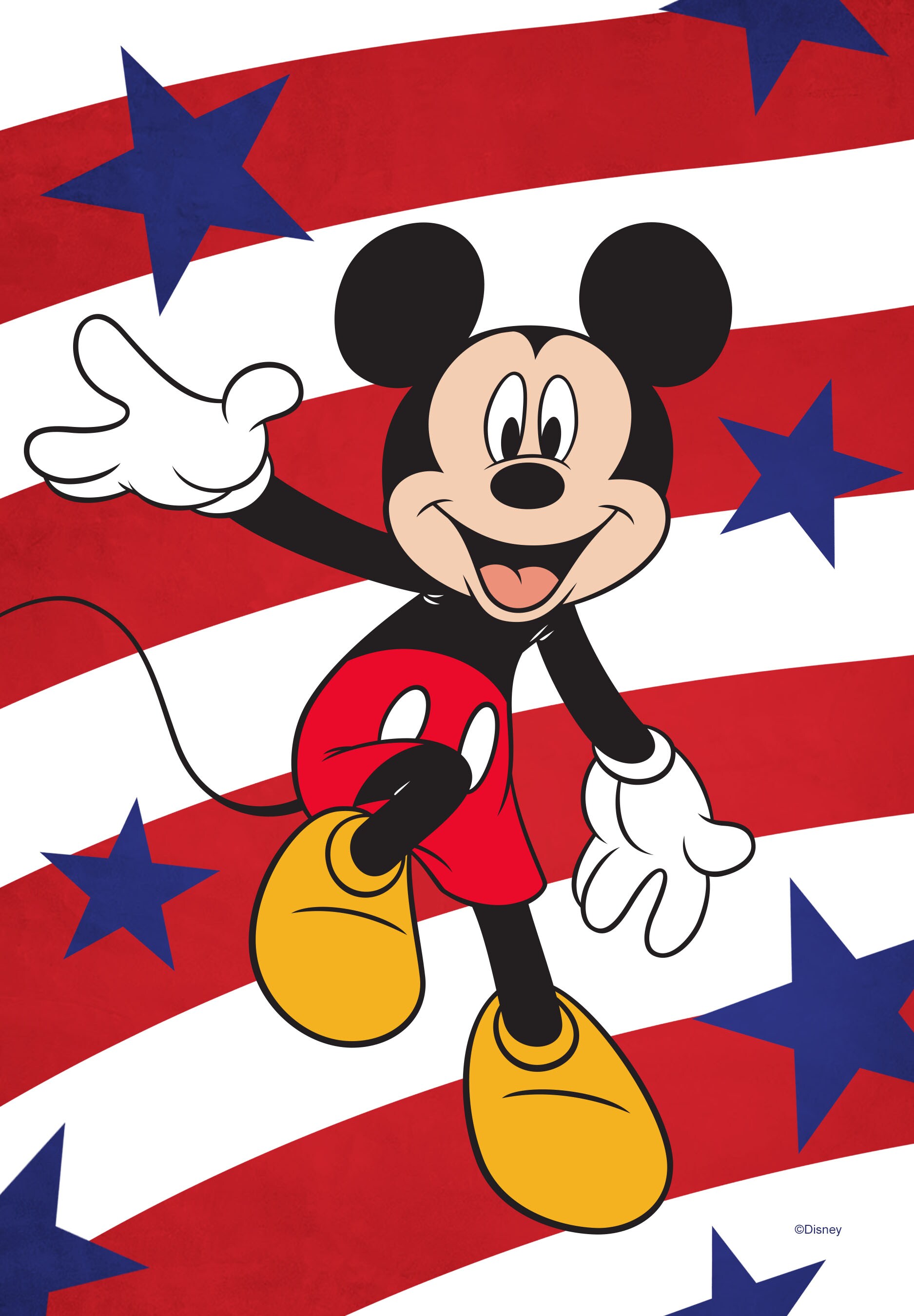 Disney 1.04-ft W x 1.5-ft H Patriotic Garden Flag Kit 10-1209-92F-01 at ...