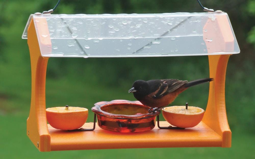 Woodlink 25006 Bird-Feeders - View #12