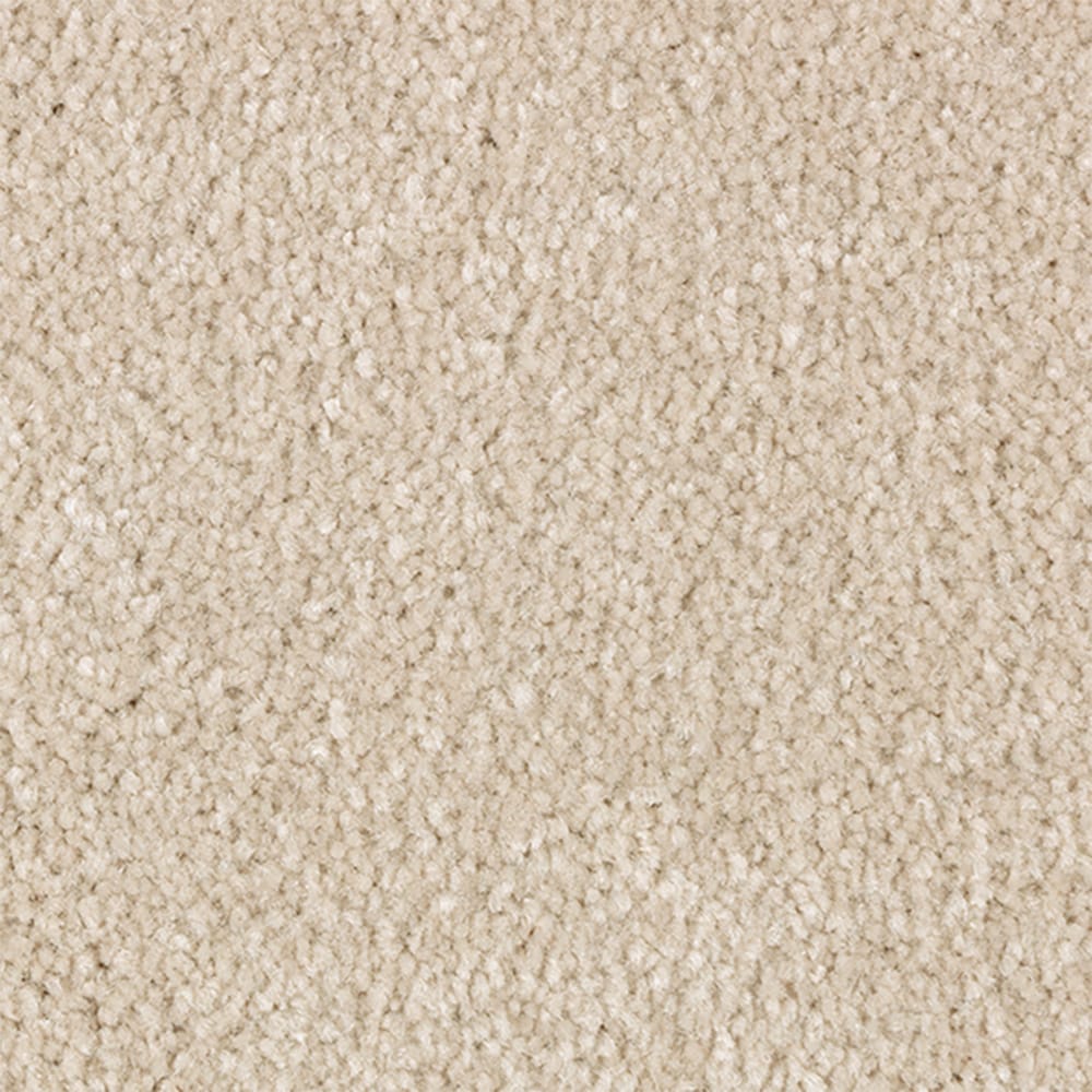 STAINMASTER STP66-15-L010 Serenity Stride I Nectar Brown 50-oz sq yard Polyester Textured Indoor Carpet