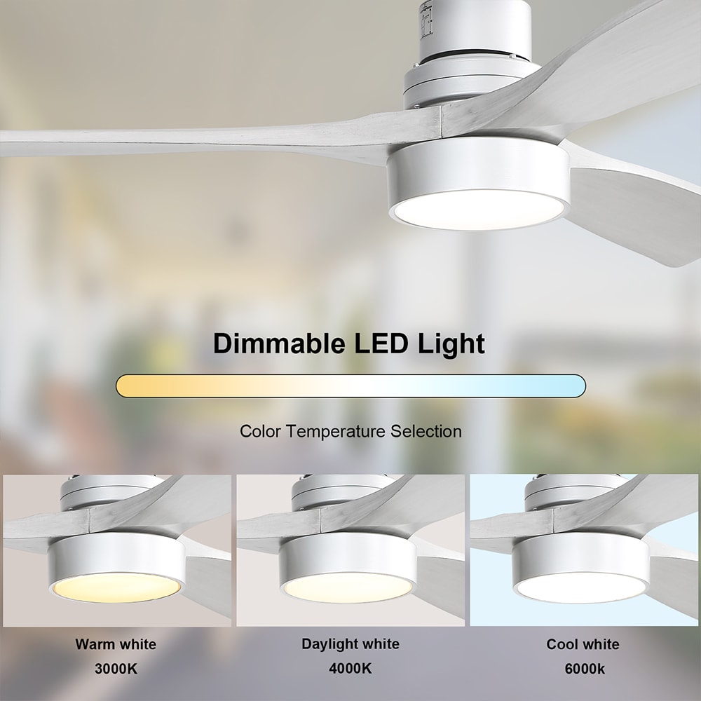 Sofucor LW-5247-SL-DC-SX Ceiling-Fans - View #5