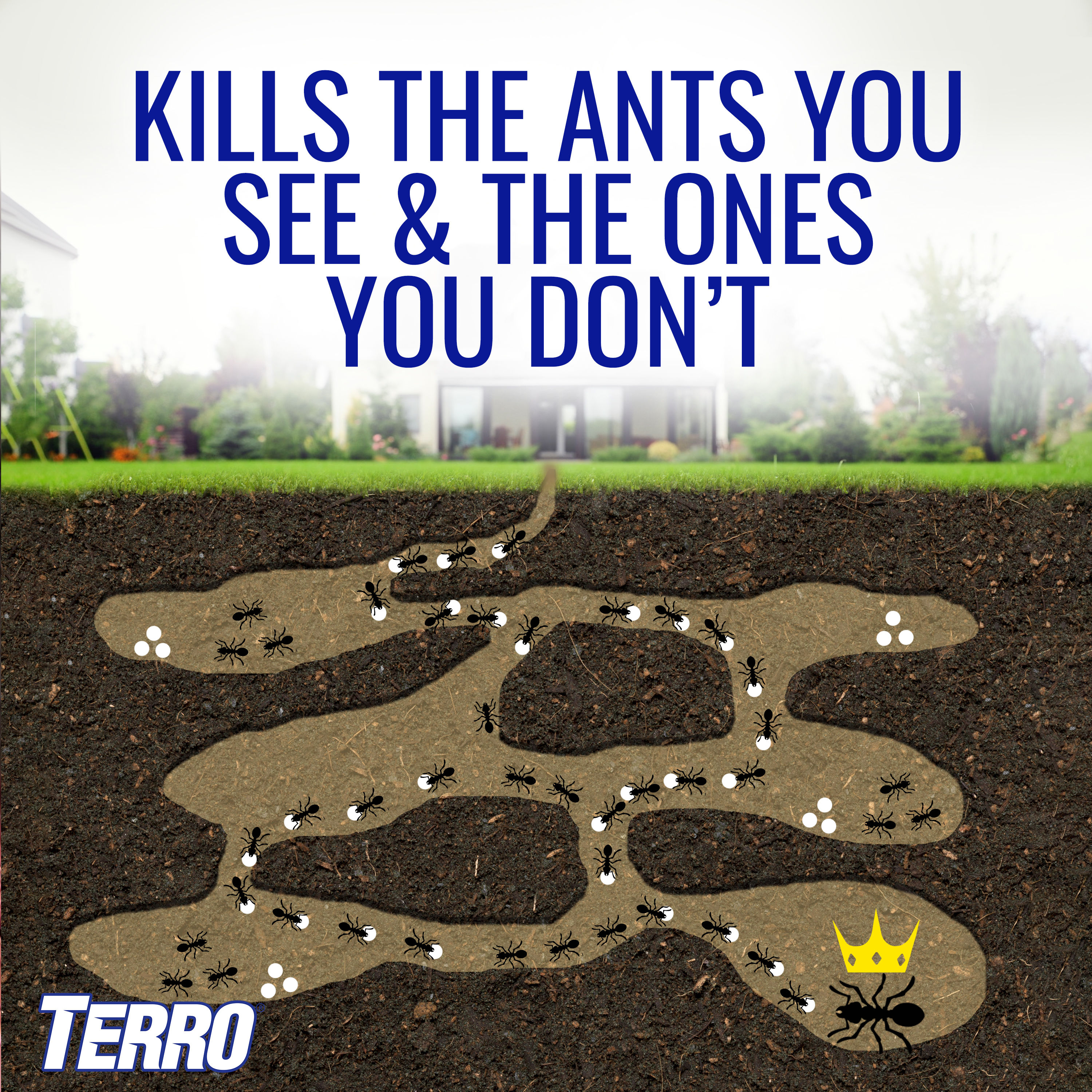 TERRO Outdoor Liquid Ant Bait Station Stakes (8-Pack) in the