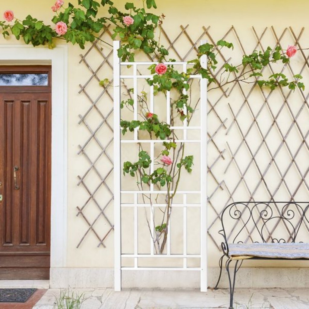 AHIOU HOME ZAAHD-HQ1P5GGT Garden-Trellis - View #6