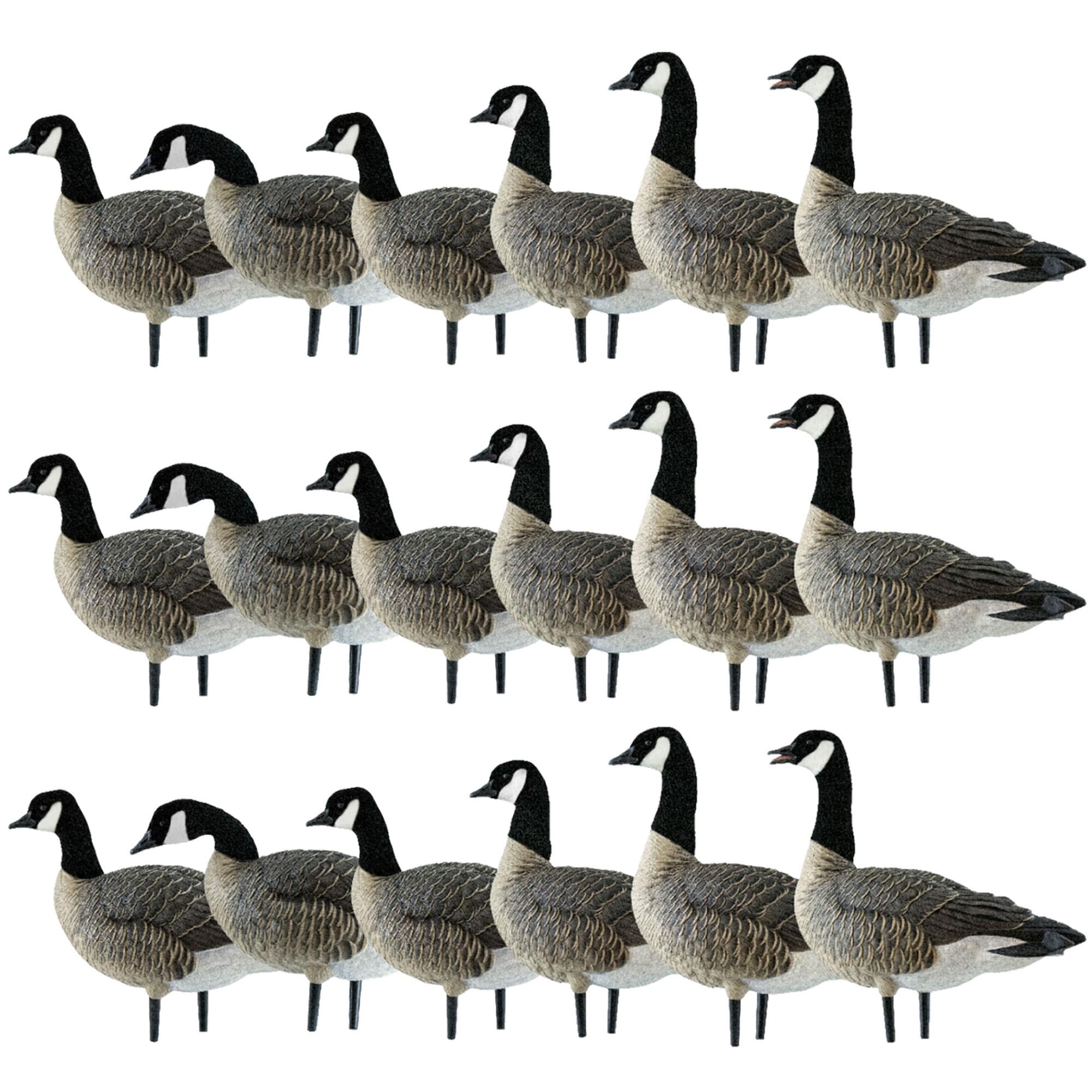 Avian X  AXP Honkers Fusion Pack Lesser Canada Goose Decoys 3 Pack Multicolor