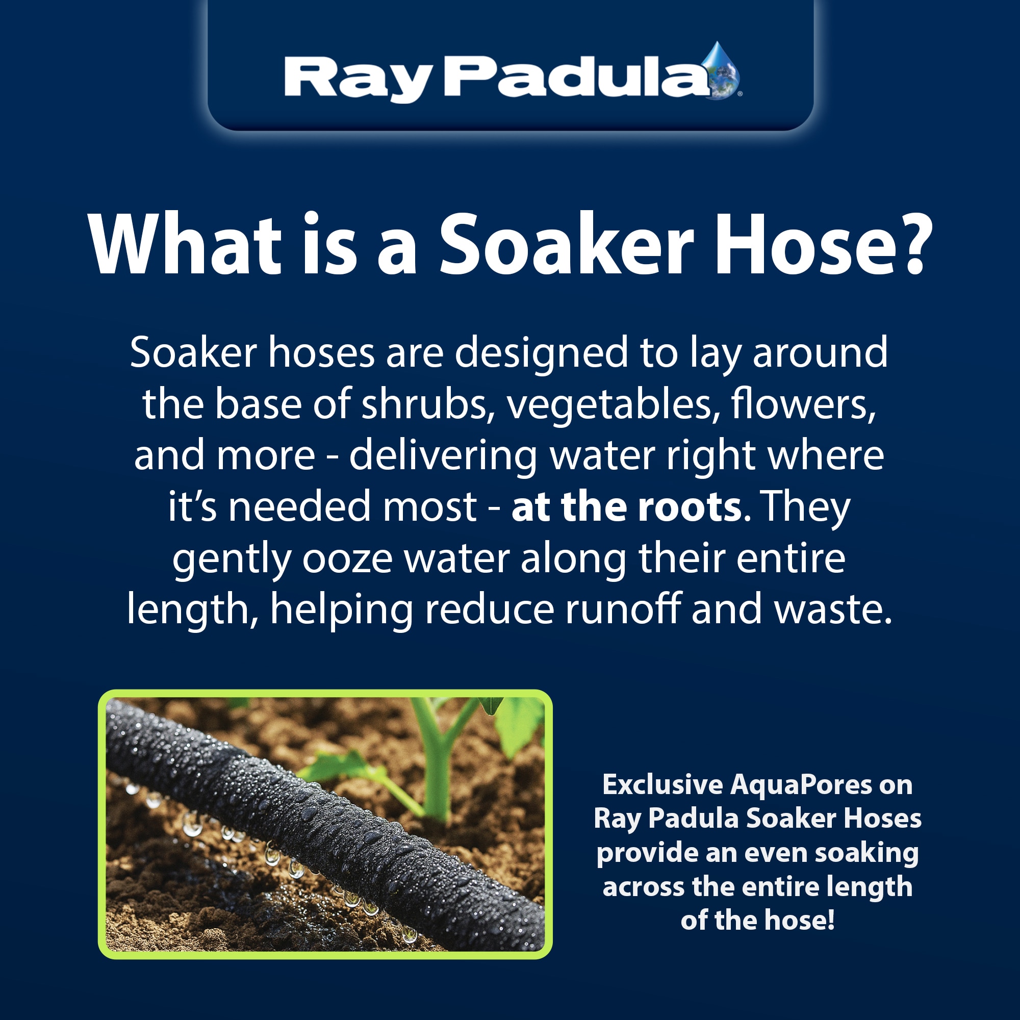 Ray Padula EC-IFSH-SY2 Water-Hoses - View #17