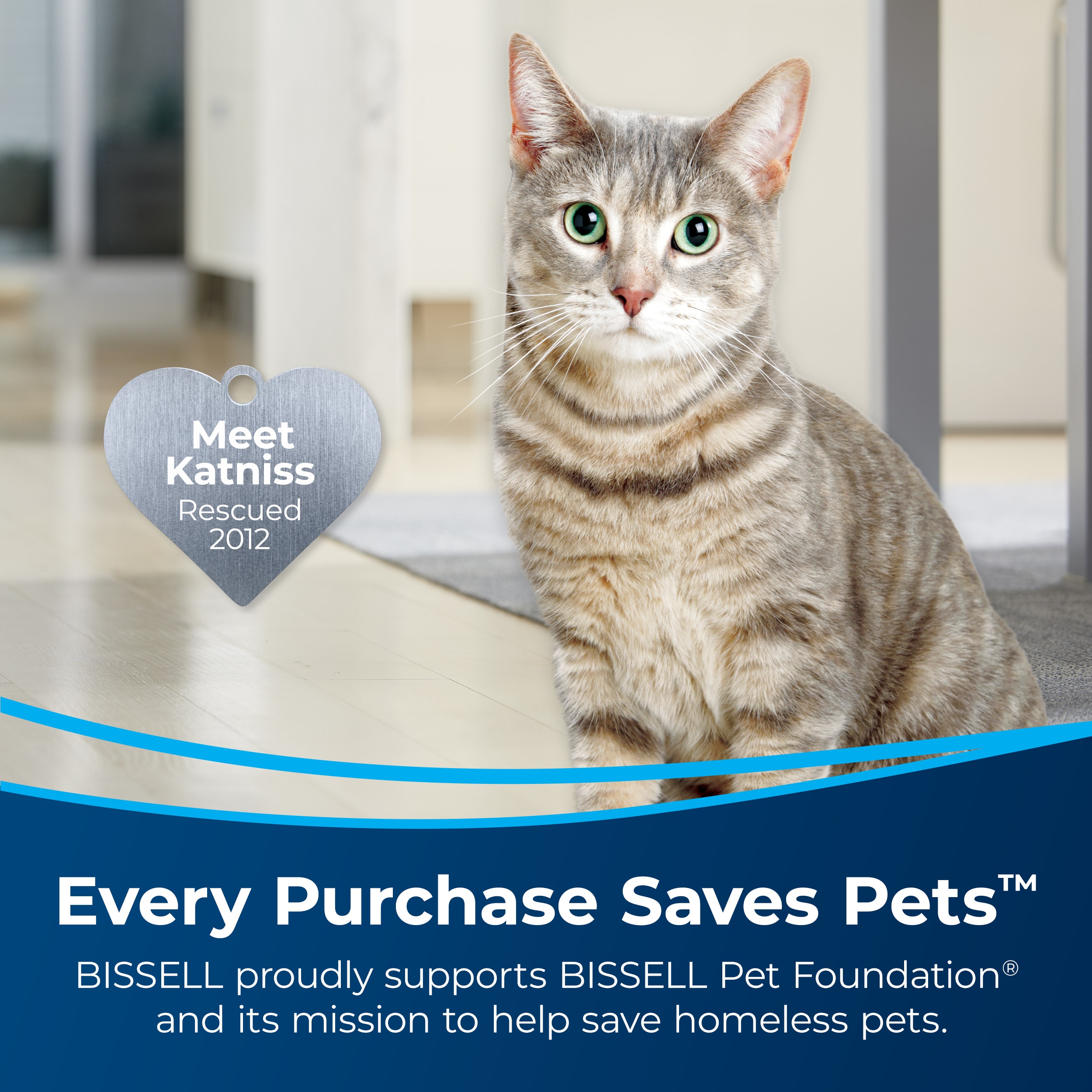 Bissell oxy stain destroyer pet plus pretreat hotsell