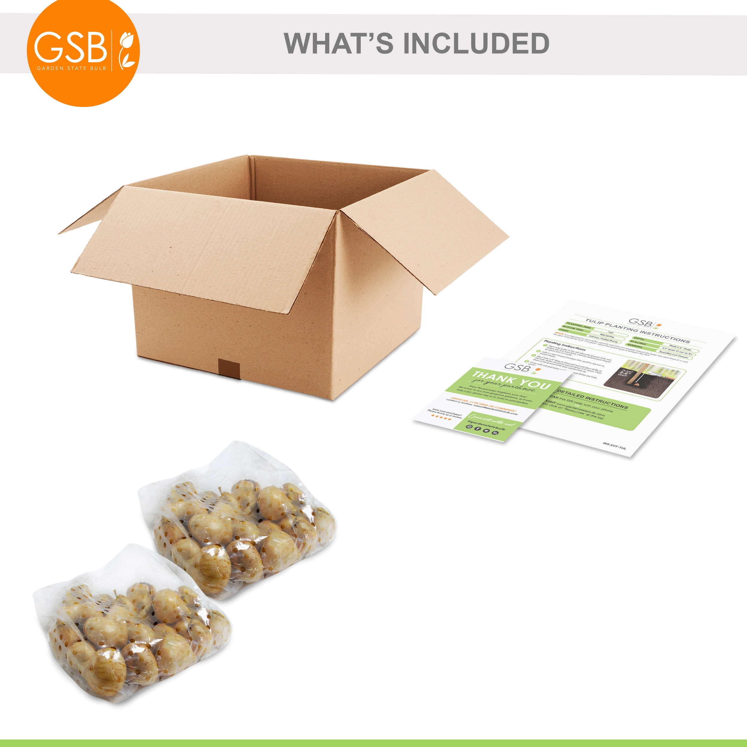 Garden State Bulb ECF-74-50-02 Plant-Bulbs - View #7