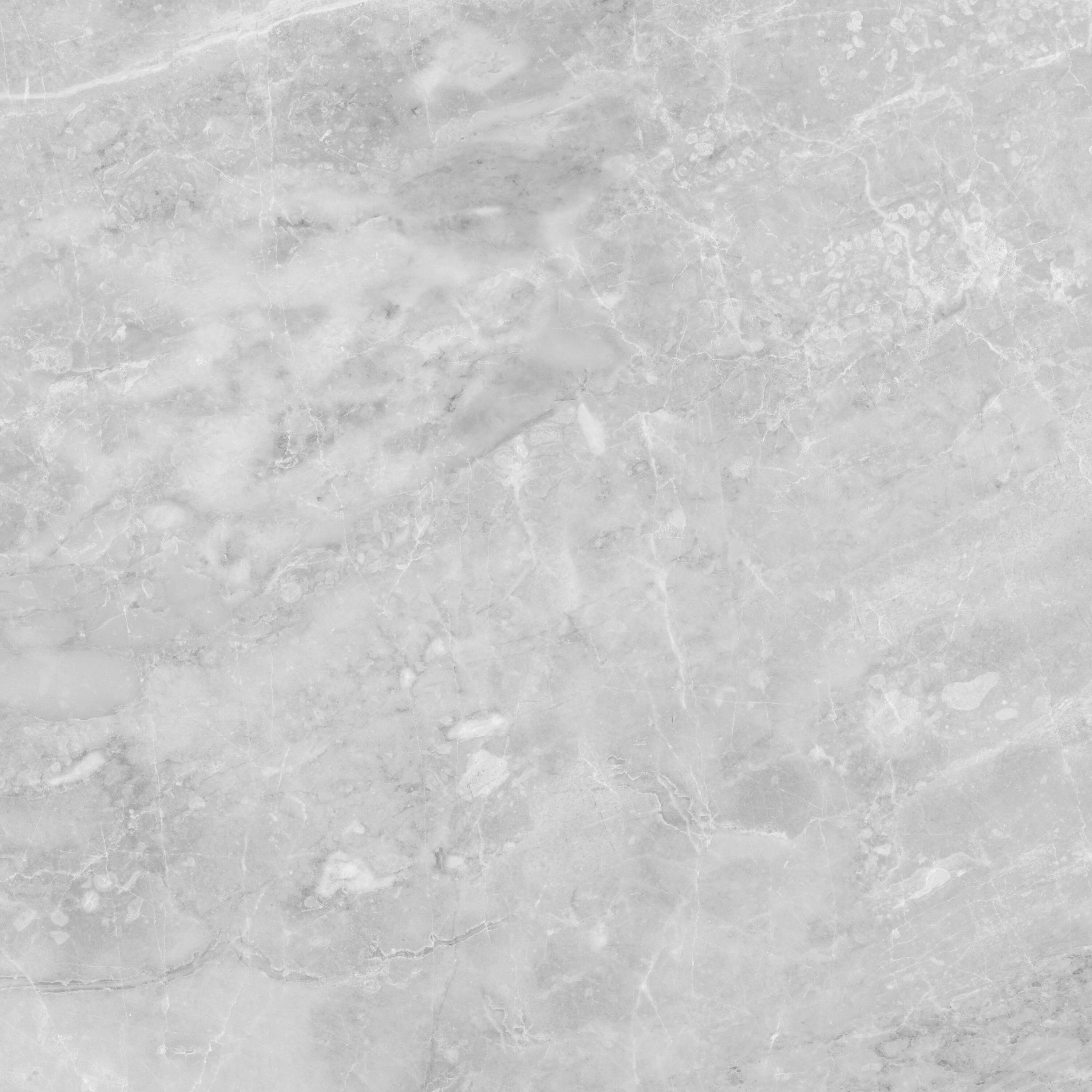 Satori 4500-0964-0 Plata Perla Grigia 24-in x 24-in Matte Porcelain Floor and Wall Tile ( 15.5-sq ft Carton )