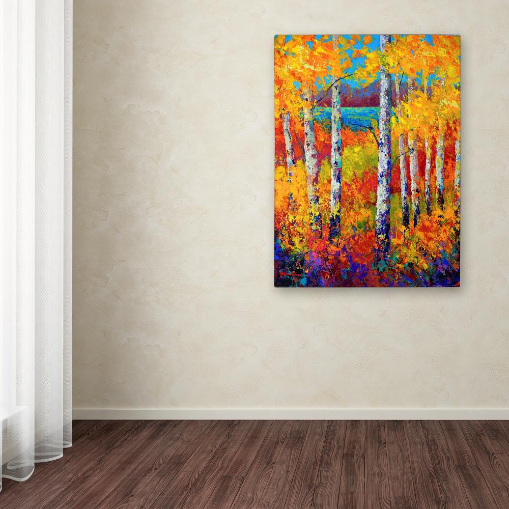 Trademark Fine Art ALI15320-C1419GG Wall-Art - View #3
