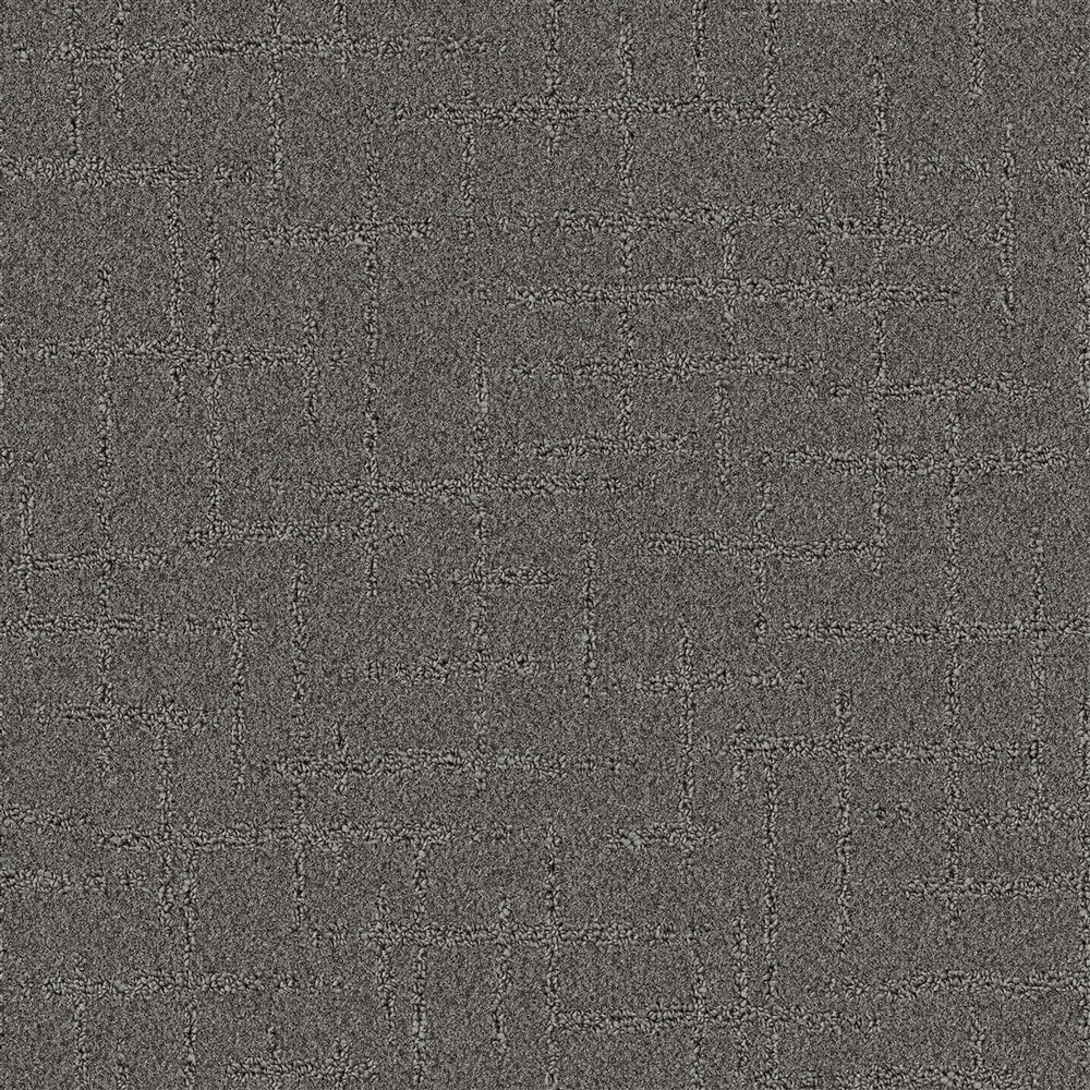 STAINMASTER PetProtect LU771-W0073-1200-AB Animal Kingdom Rage Of The Elements Gray 35-oz sq yard Solution-dyed nylon Pattern Indoor Carpet