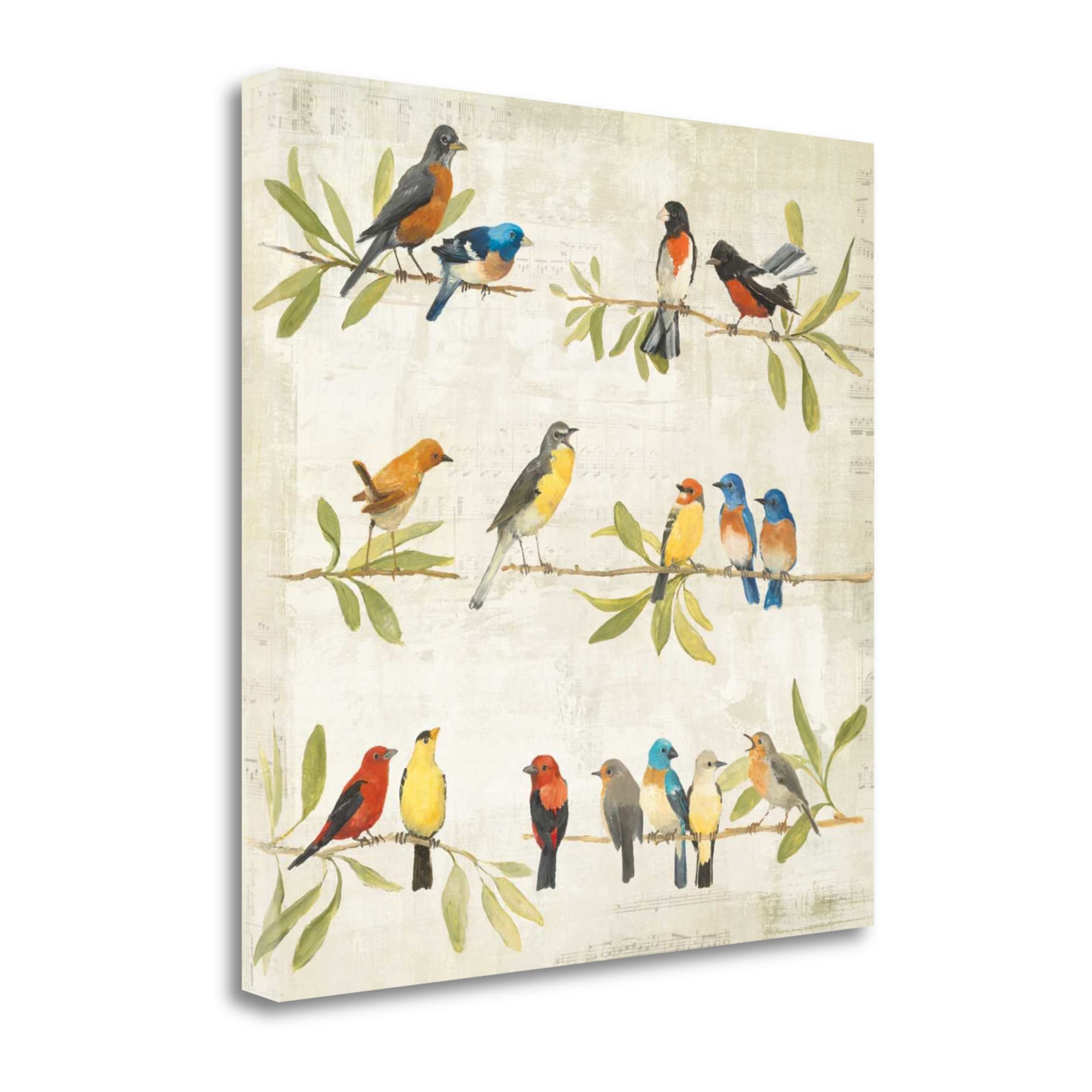 Tangletown Fine Art WA613267-2020C Adoration Of The Magpie Music Avery Tillmon 20-in H x 20-in W Animals Print on Canvas